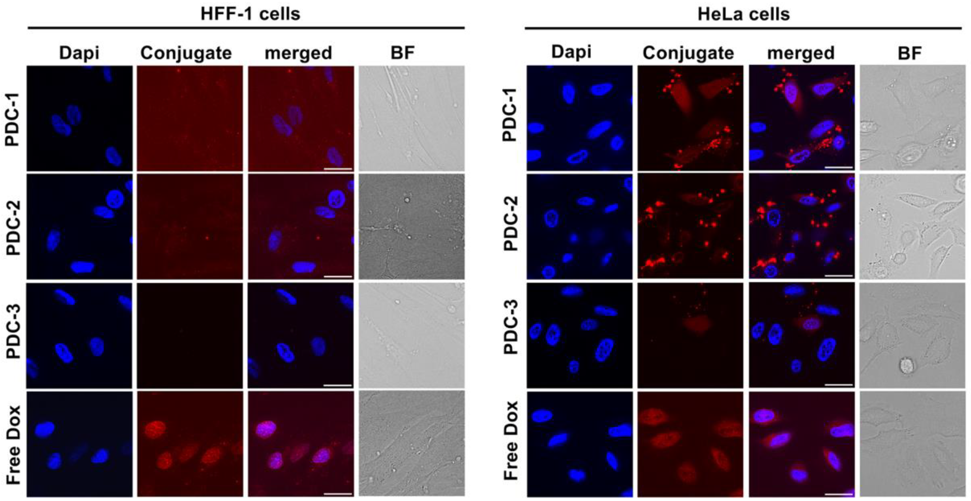 Molecules 27 06656 g006 Molecules 27 06656 g006