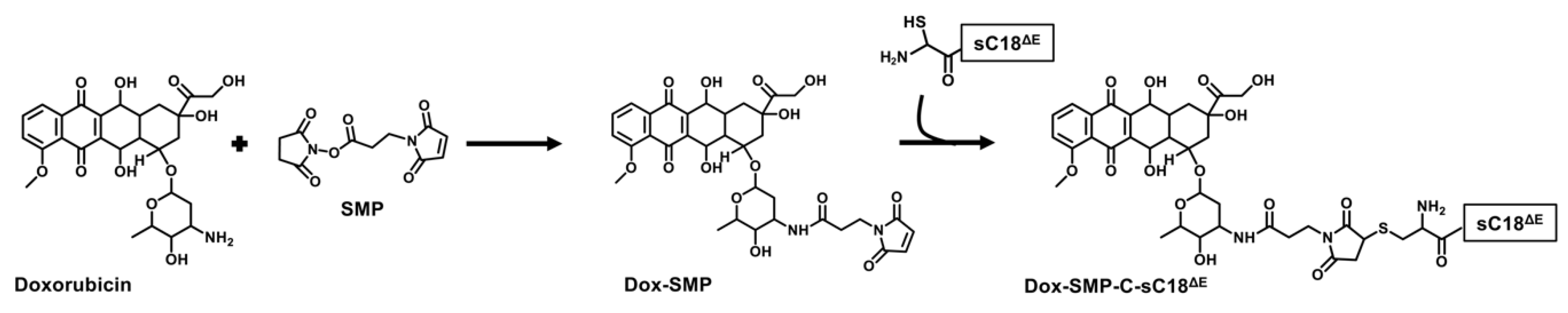 Molecules 27 06656 sch001 Molecules 27 06656 sch001