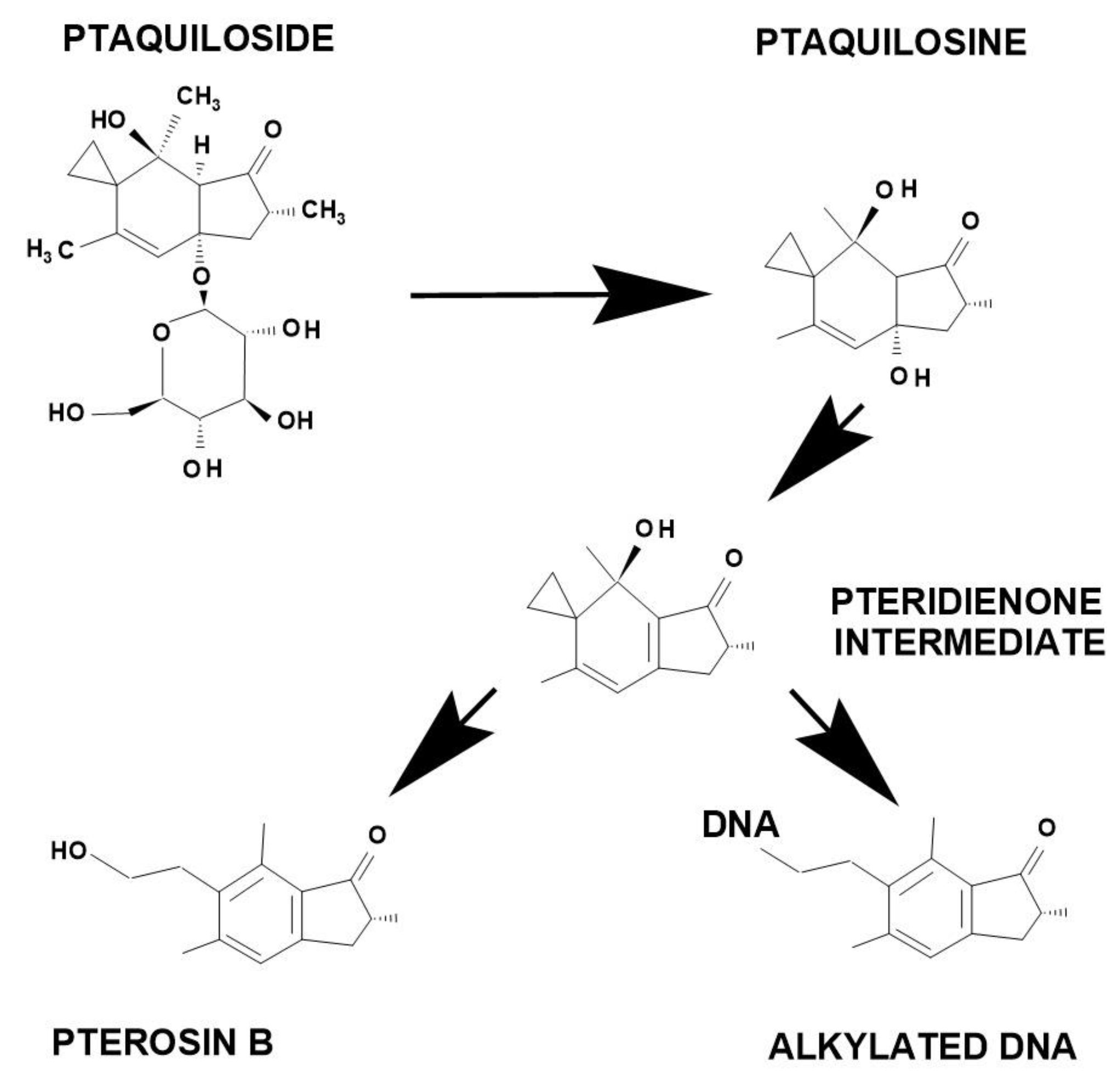 Molecules 27 06662 g005