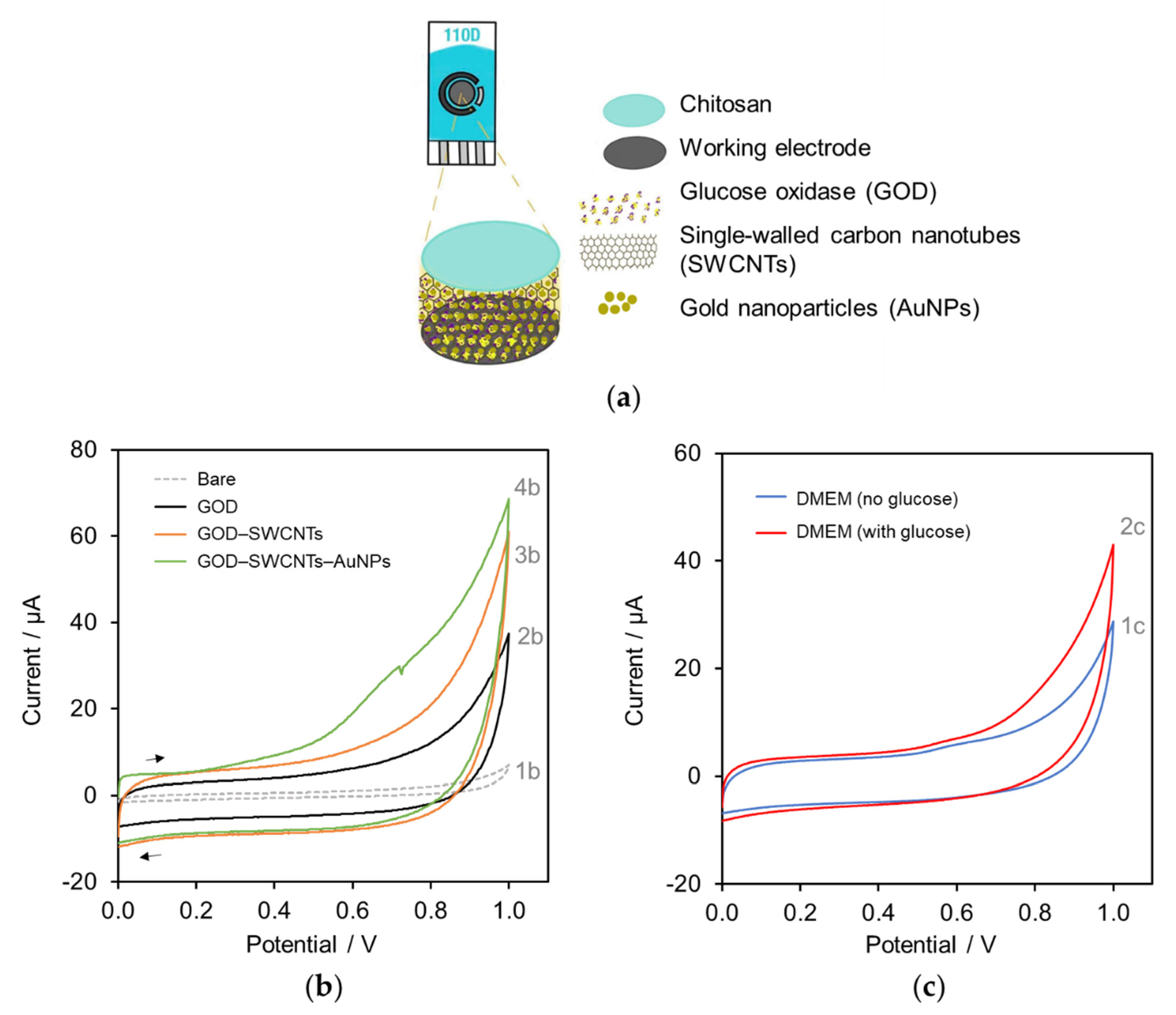 Molecules 27 06665 g001