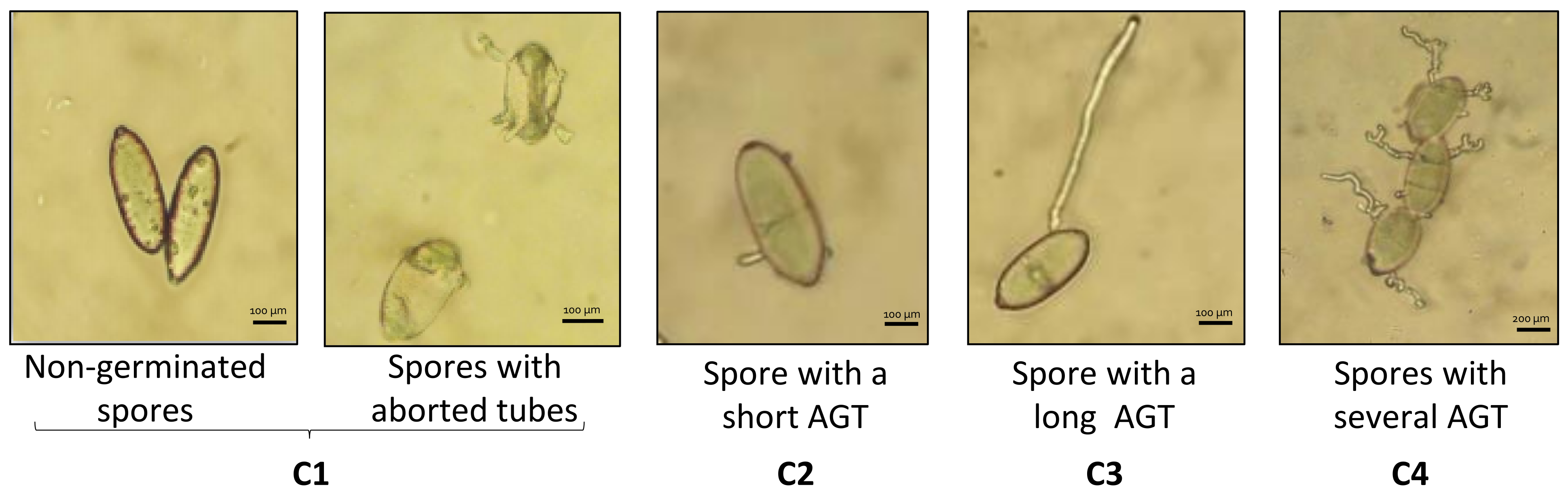 Molecules 27 06672 g006 Molecules 27 06672 g006