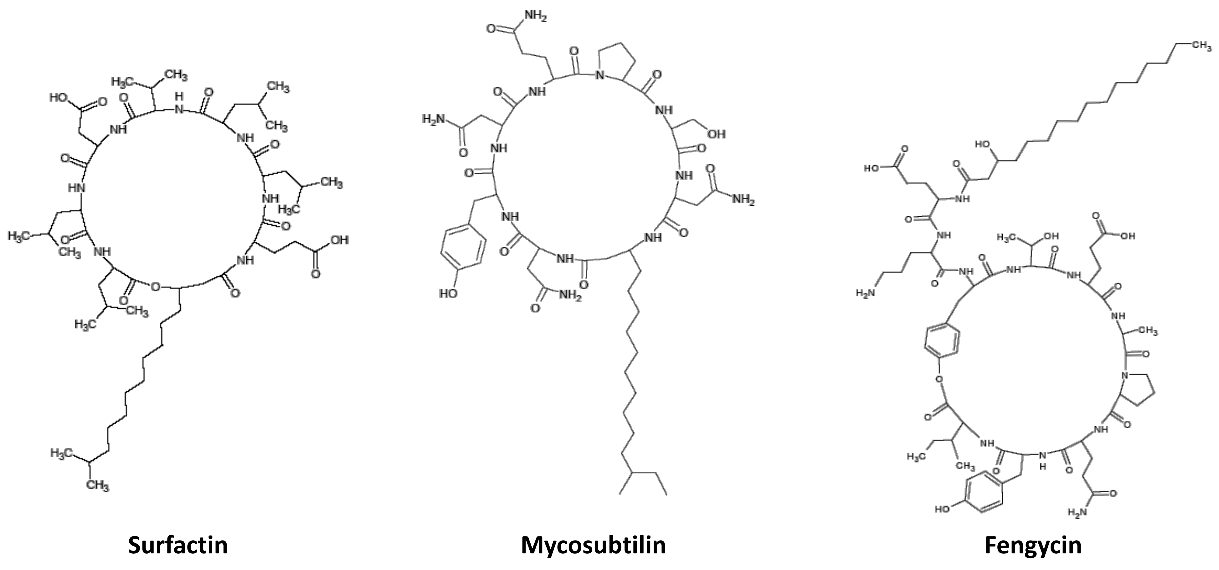 Molecules 27 06672 sch003 Molecules 27 06672 sch003