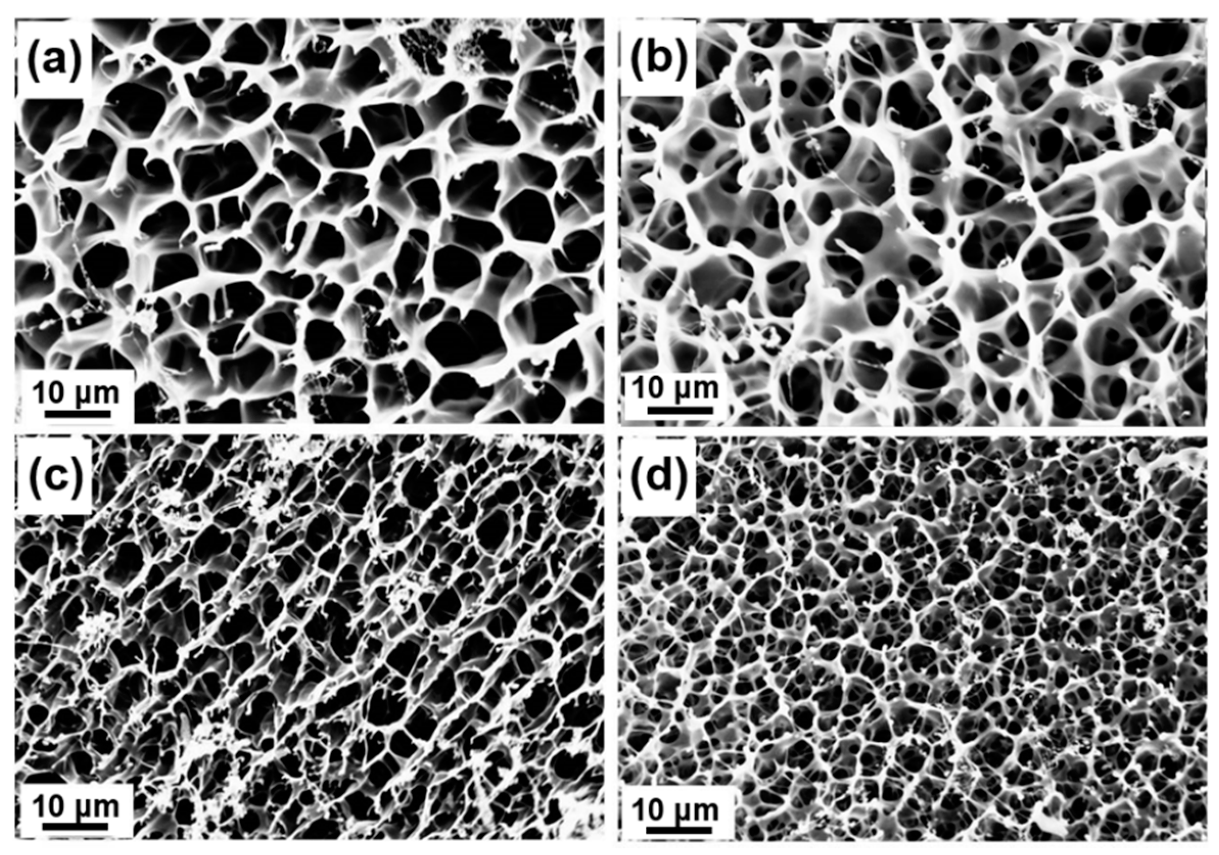 Molecules 27 06682 g004