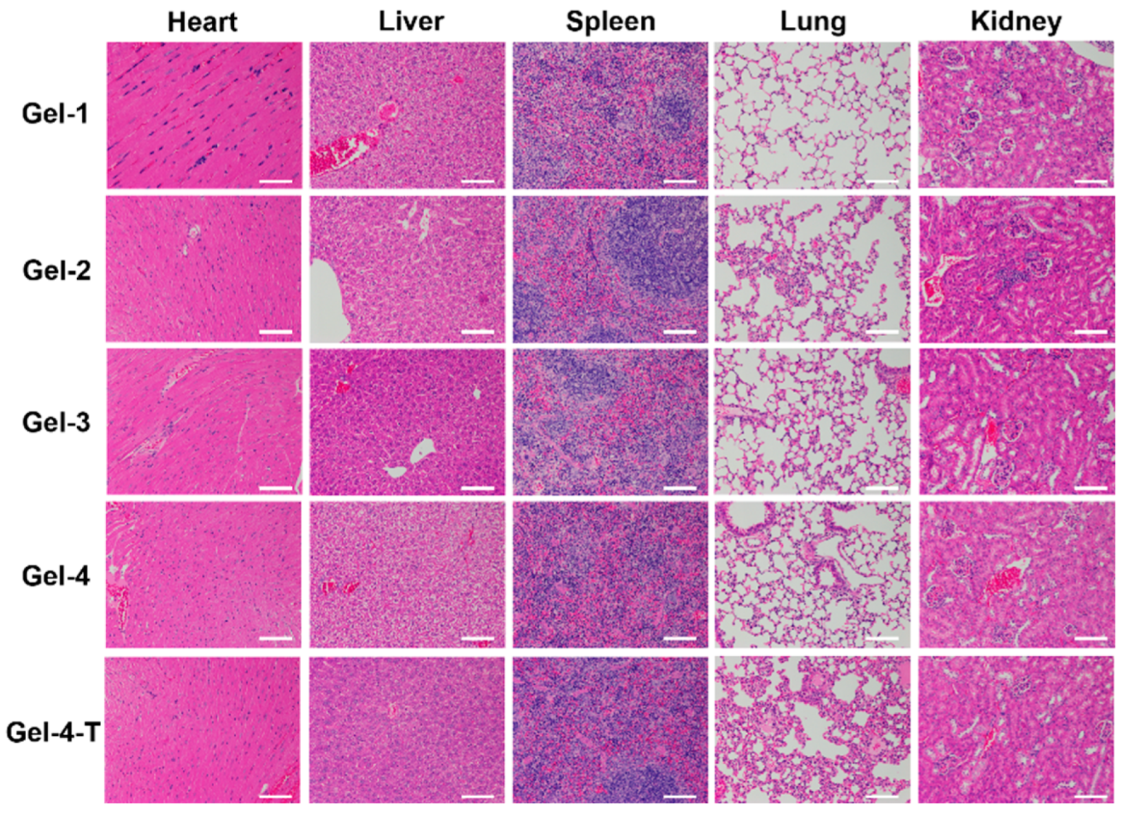 Molecules 27 06682 g009