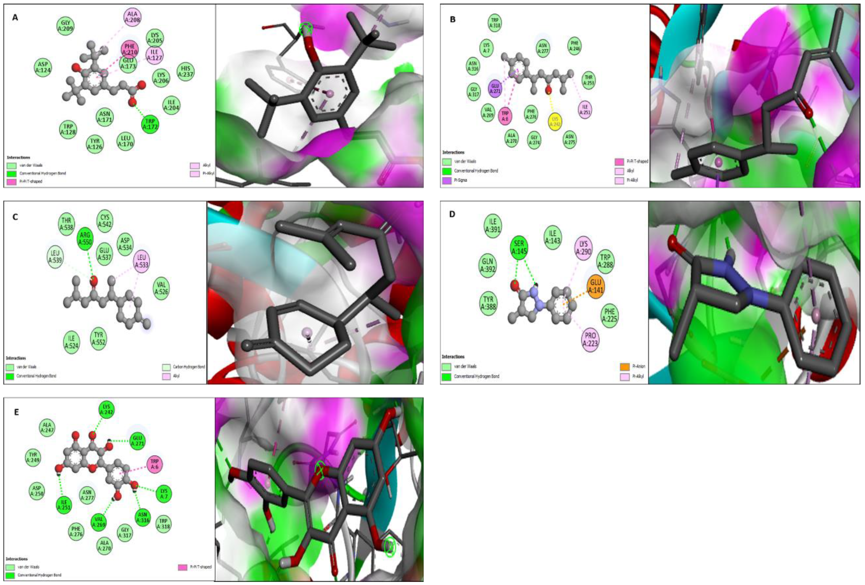 Molecules 27 06685 g005
