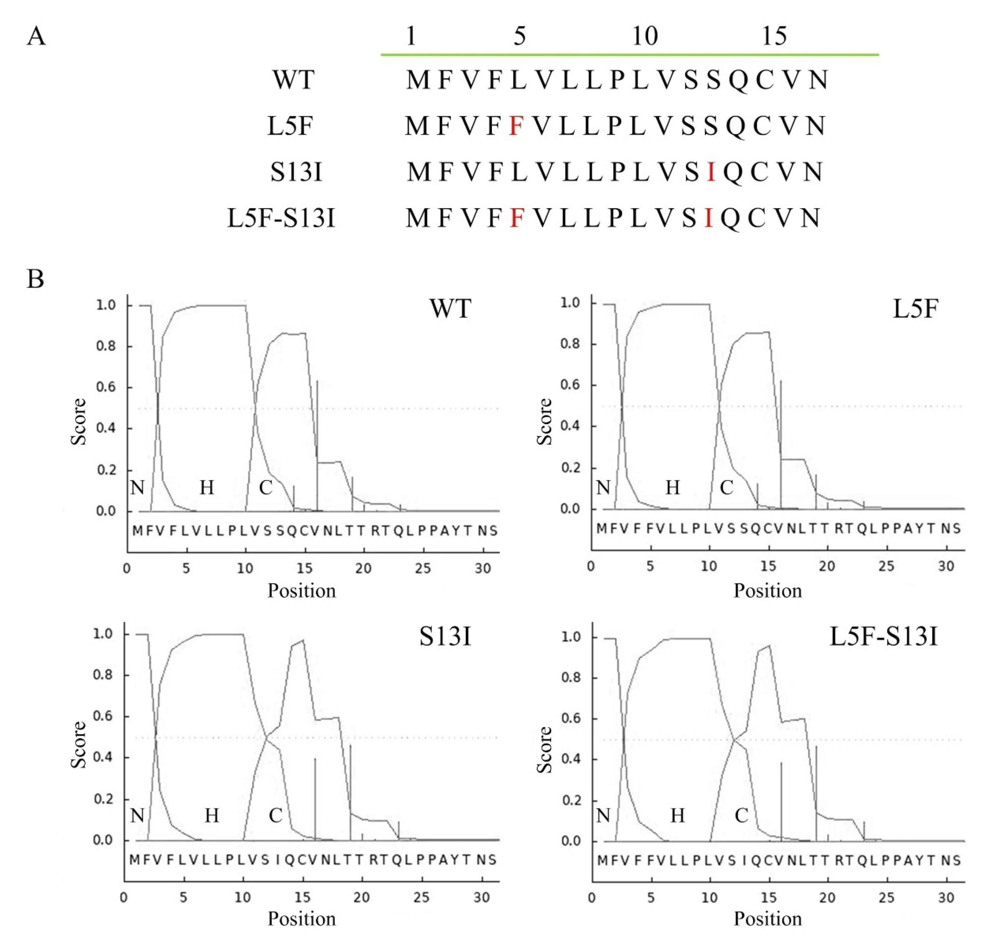 Molecules Free FullText Effects of a Shift of the Signal Peptide