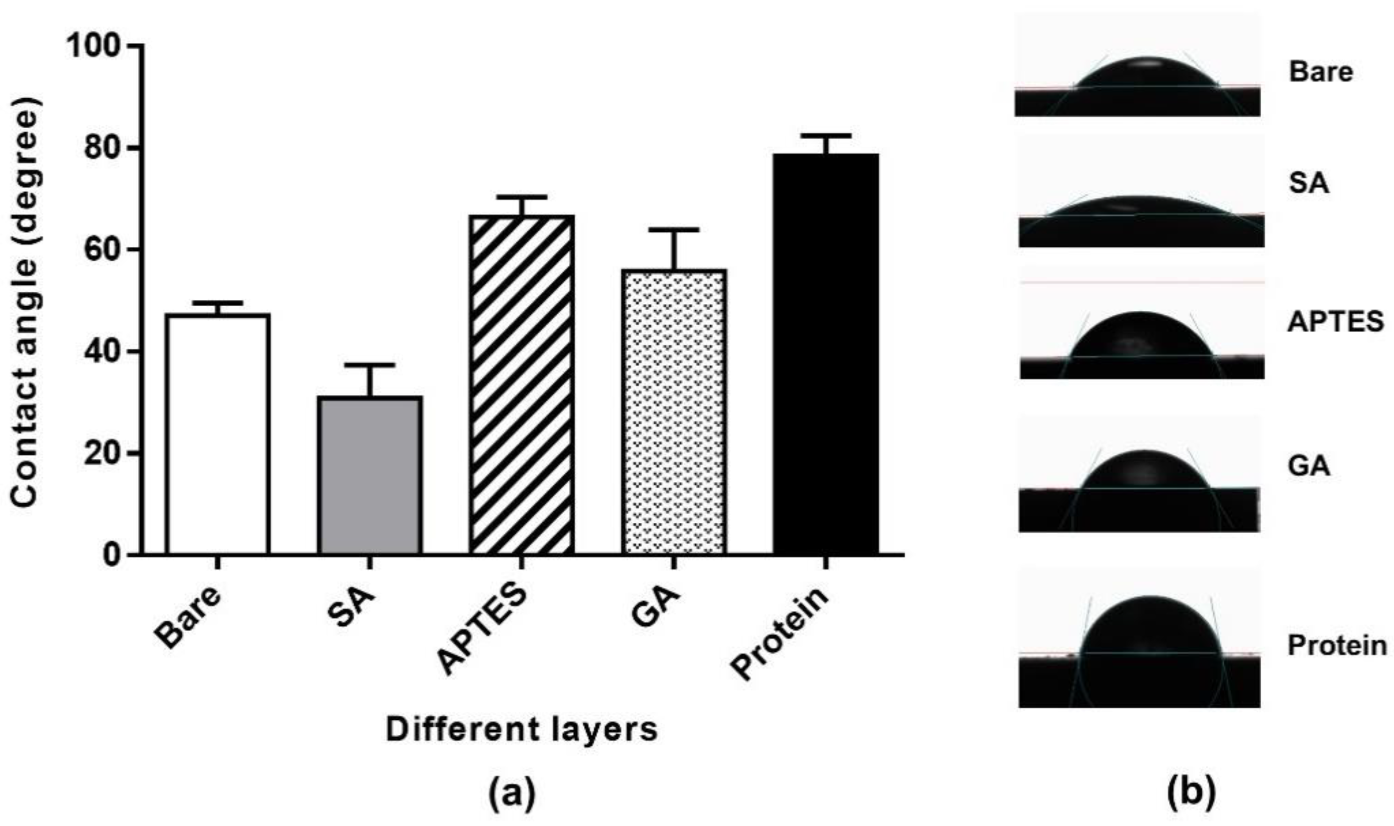 Effect of the multilayer structure on the immunoassay. Antigen-antibody