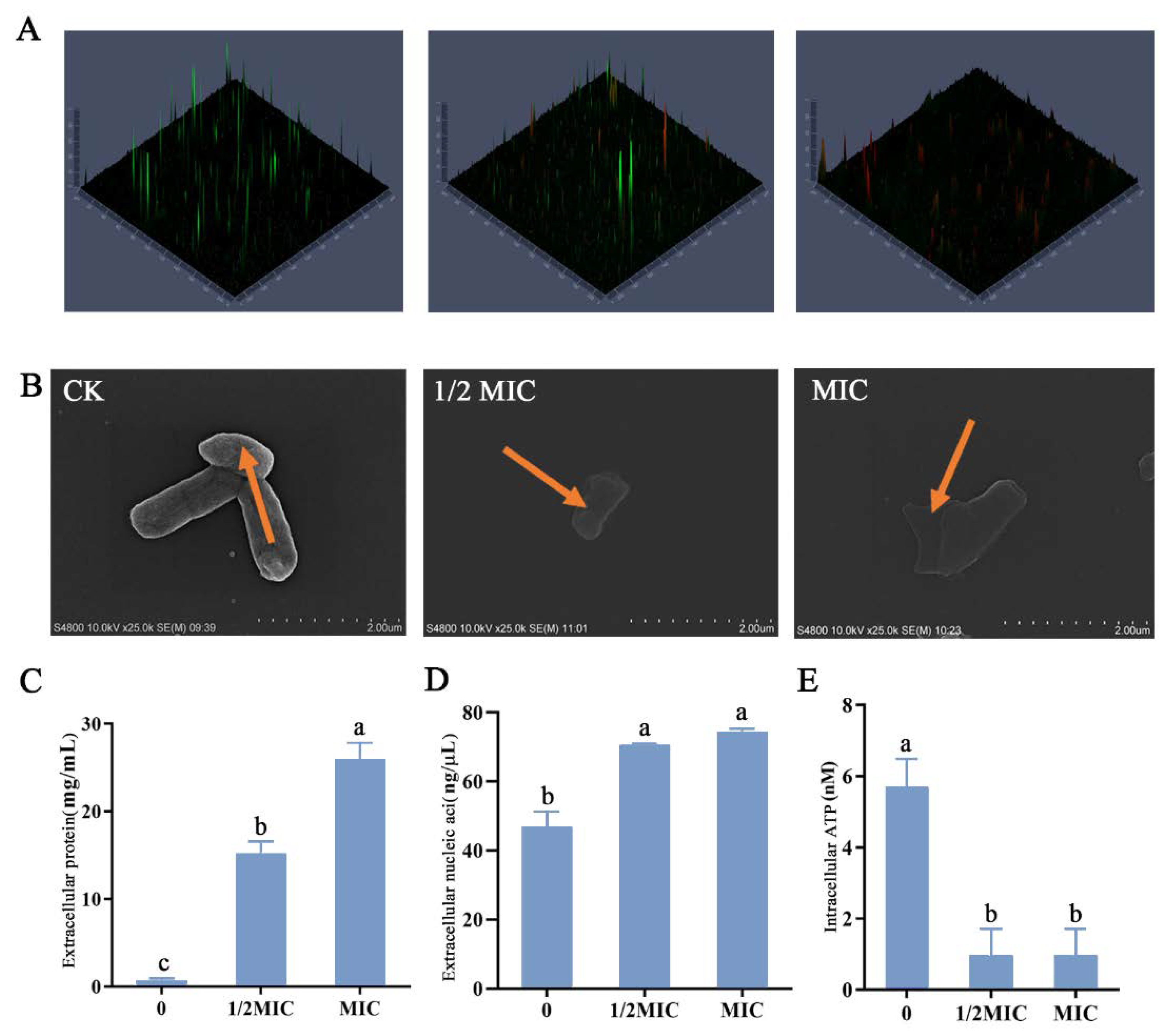 Molecules 27 06702 g005 Molecules 27 06702 g005