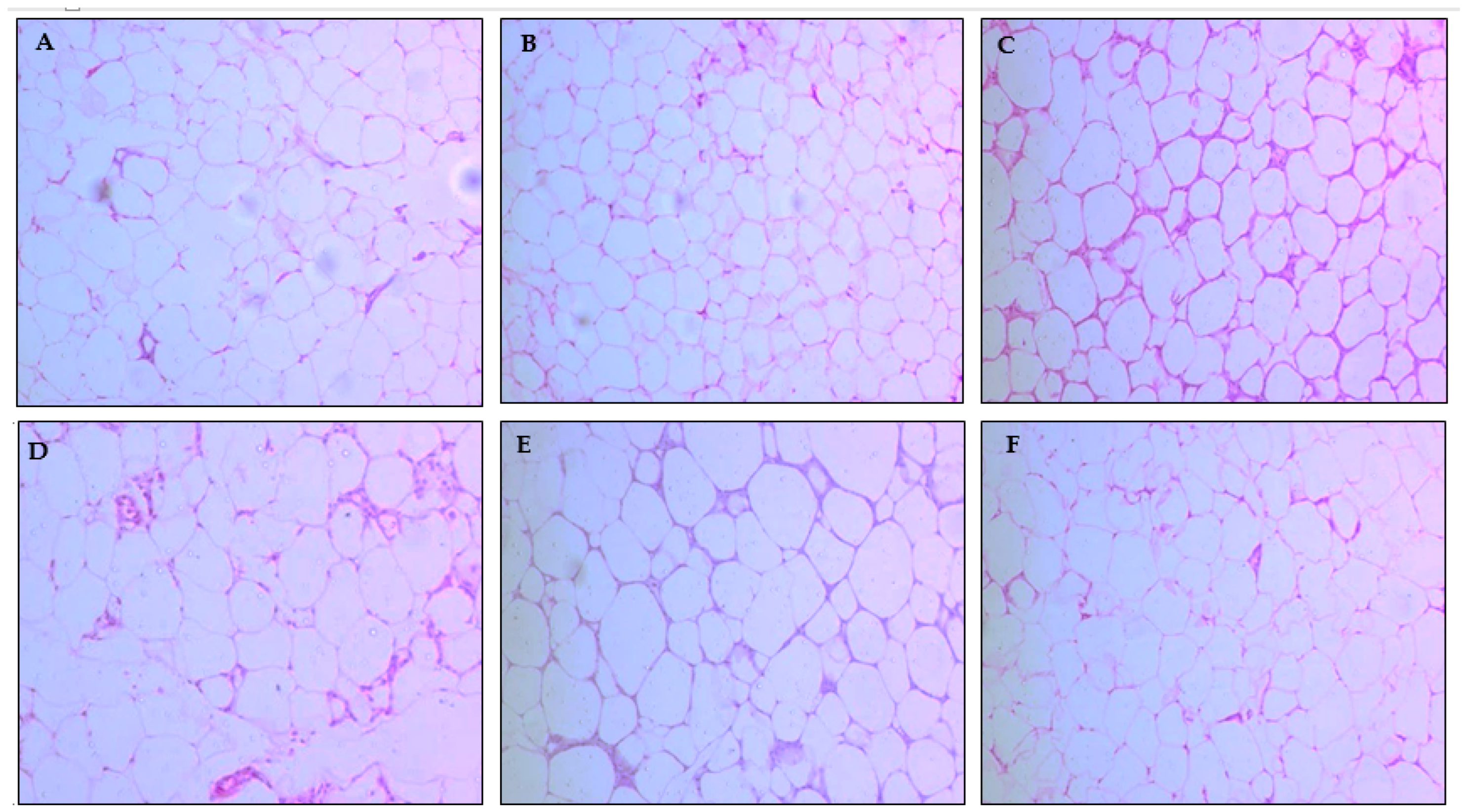 Molecules 27 06705 g002 Molecules 27 06705 g002