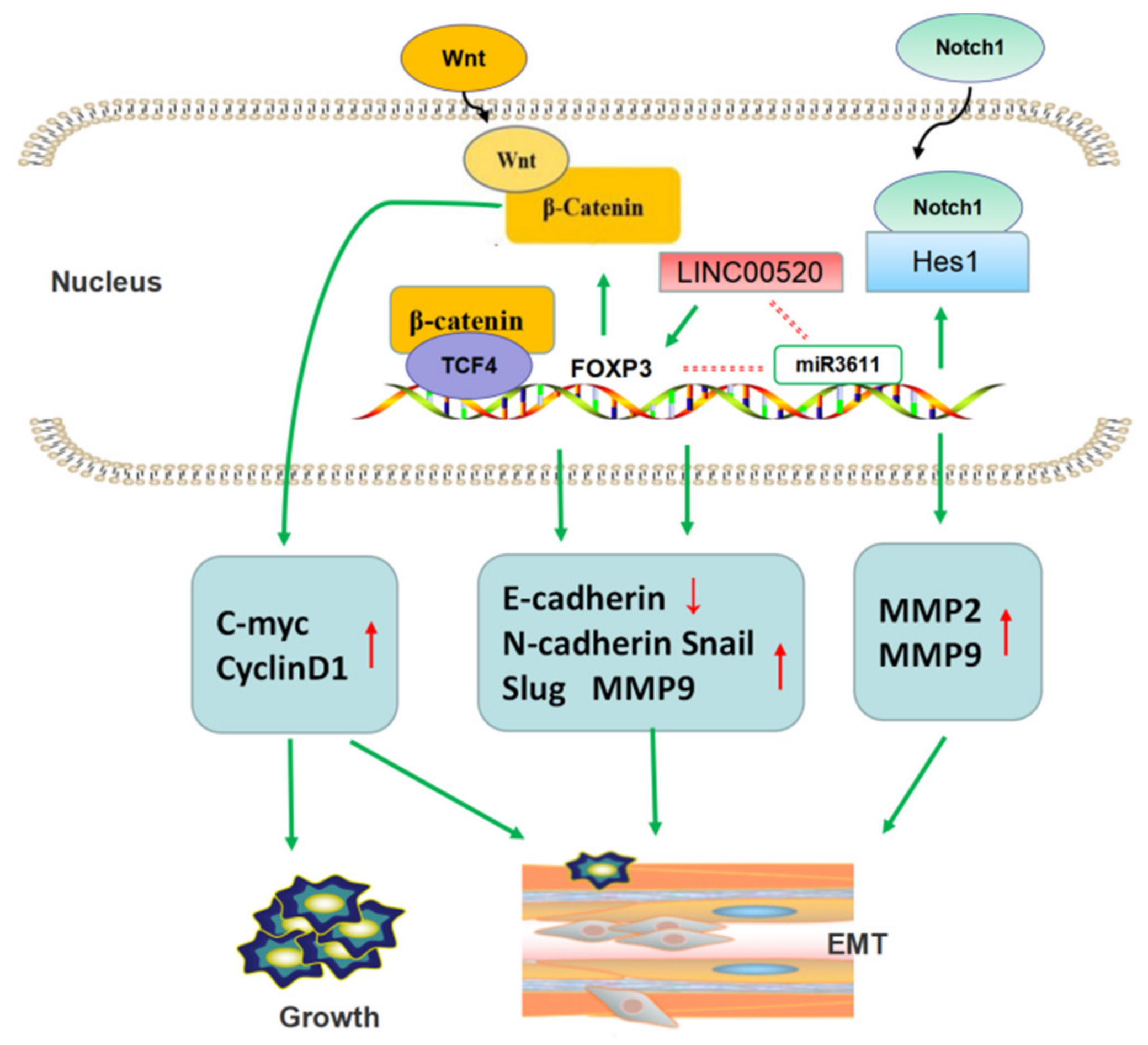 Molecules 27 06706 g005
