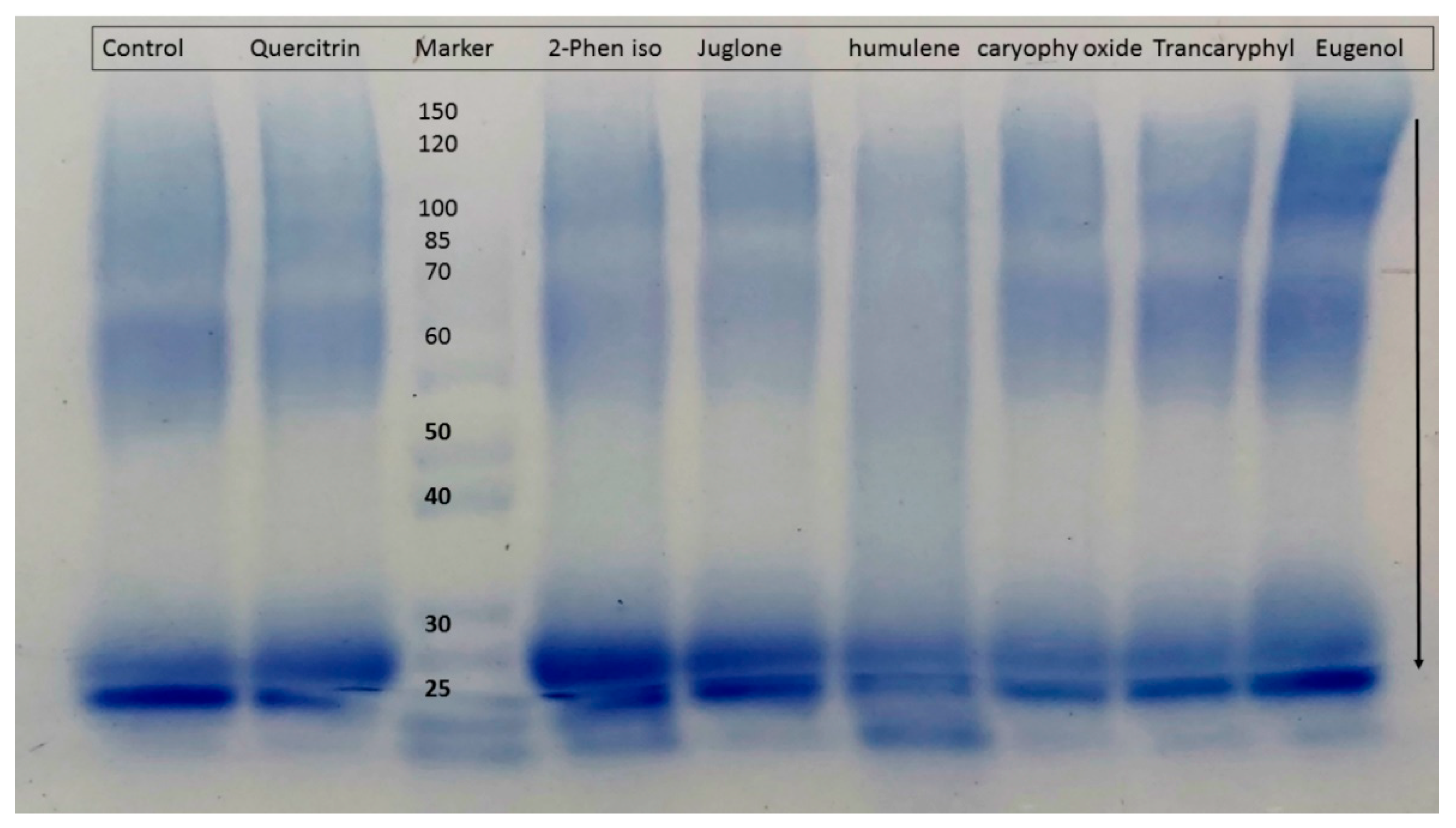 Molecules 27 06715 g004 Molecules 27 06715 g004