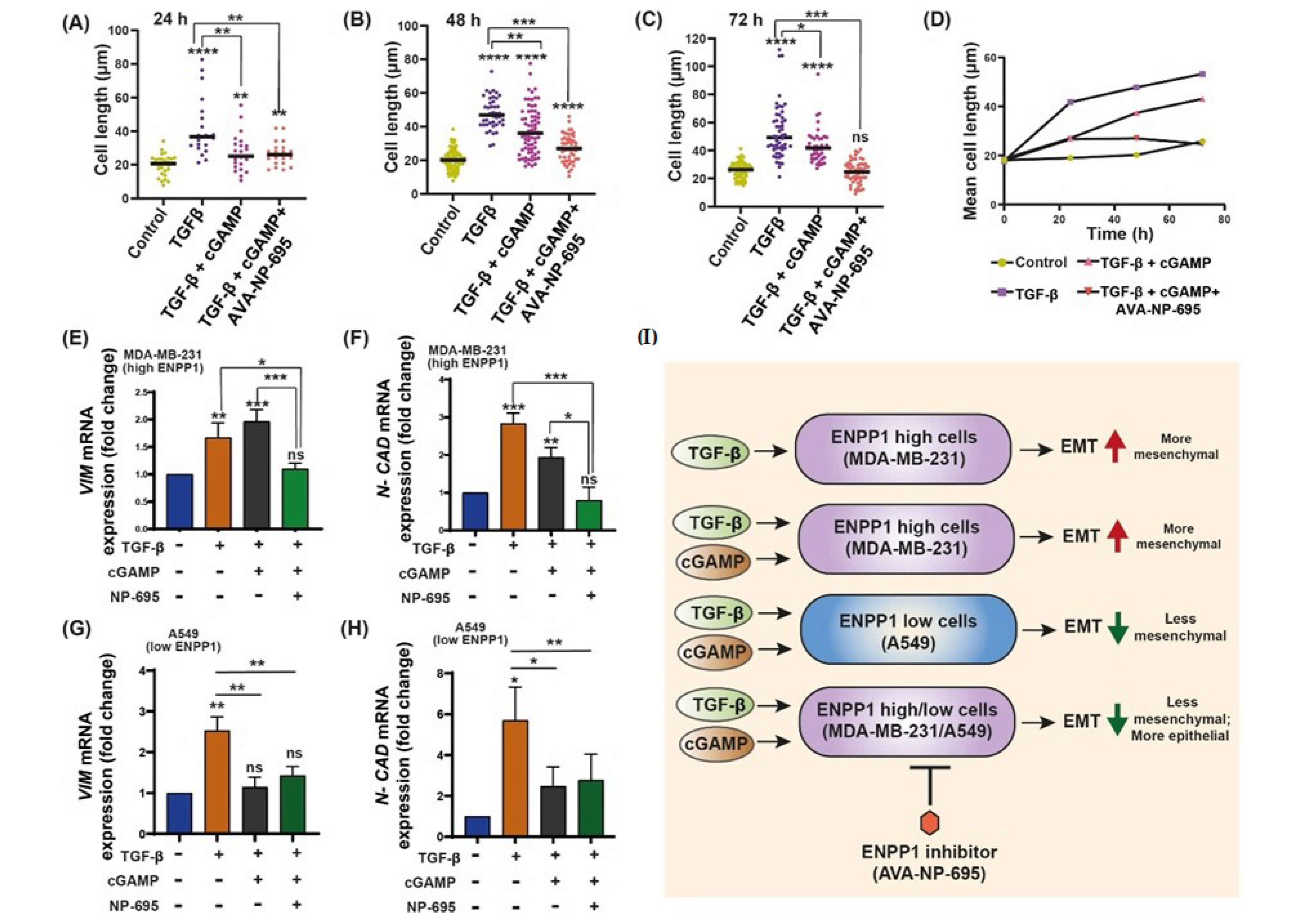Molecules 27 06721 g005 Molecules 27 06721 g005