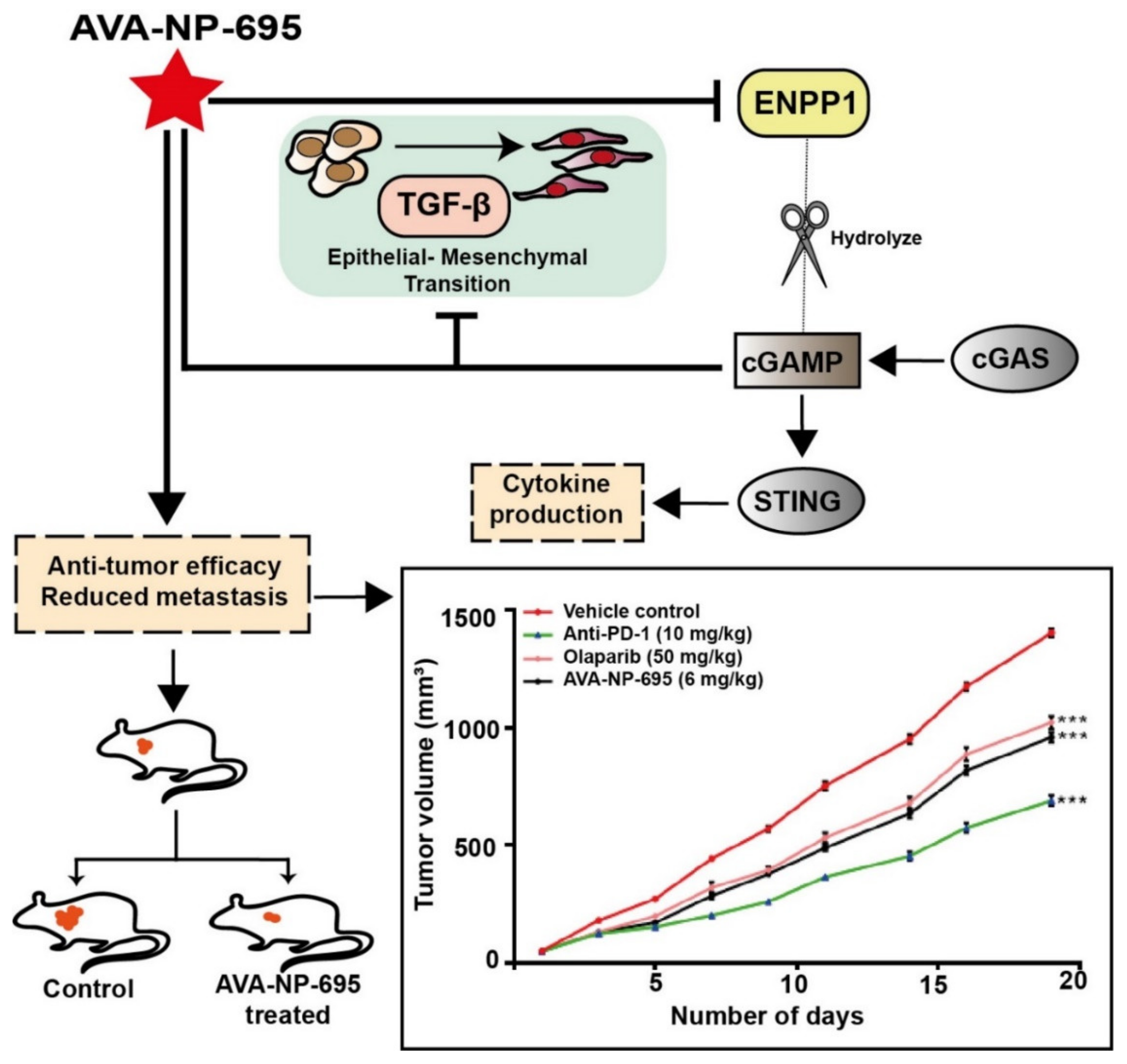 Molecules 27 06721 g007 Molecules 27 06721 g007