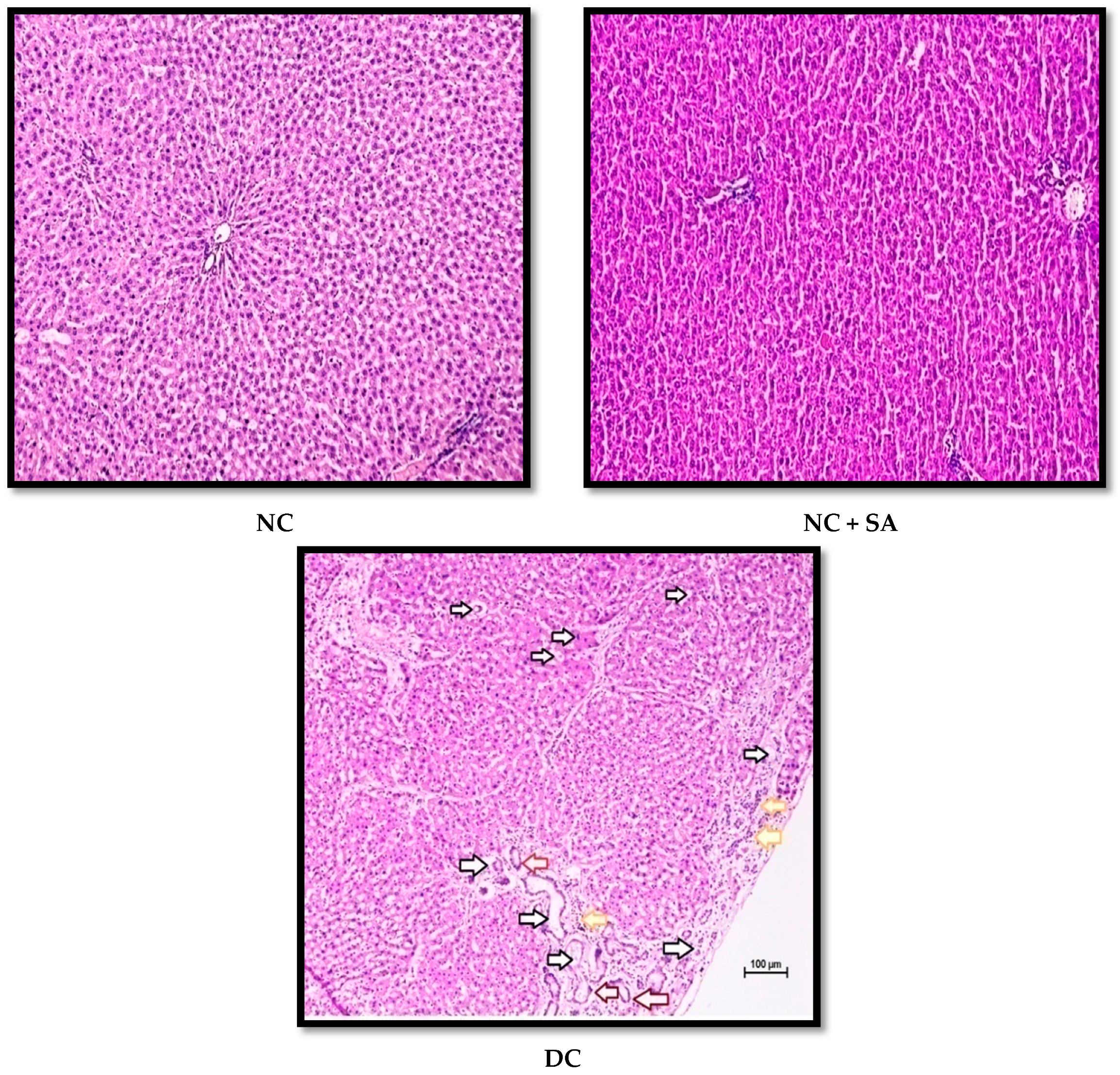 Molecules 27 06722 g008a Molecules 27 06722 g008a