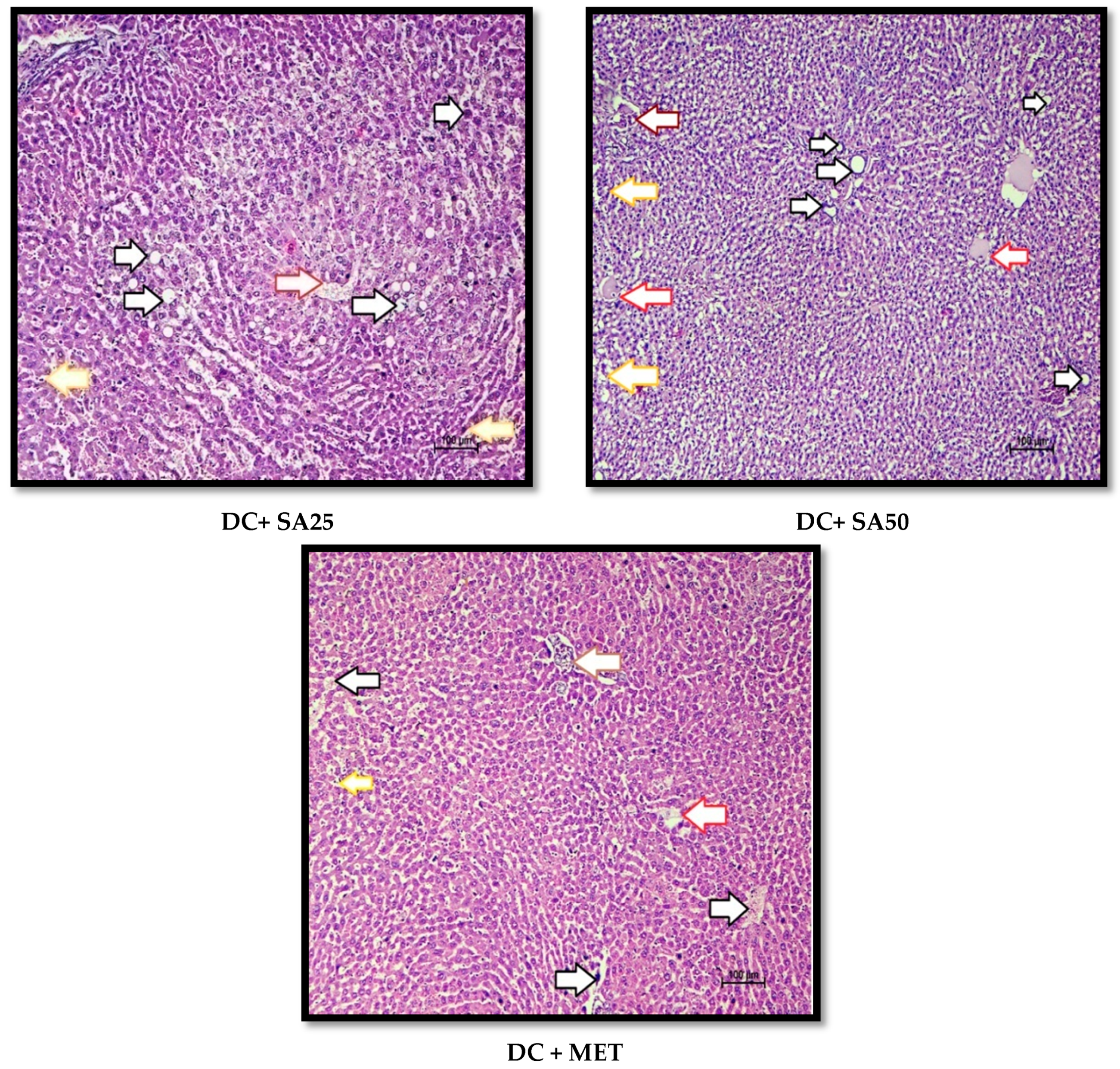 Molecules 27 06722 g008b Molecules 27 06722 g008b