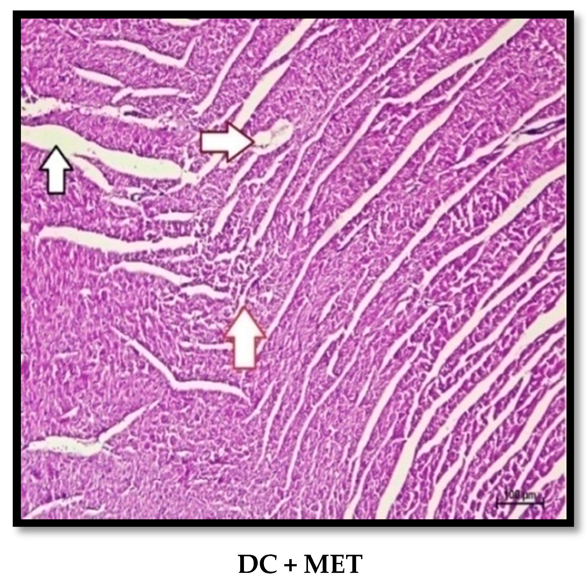 Molecules 27 06722 g009b Molecules 27 06722 g009b