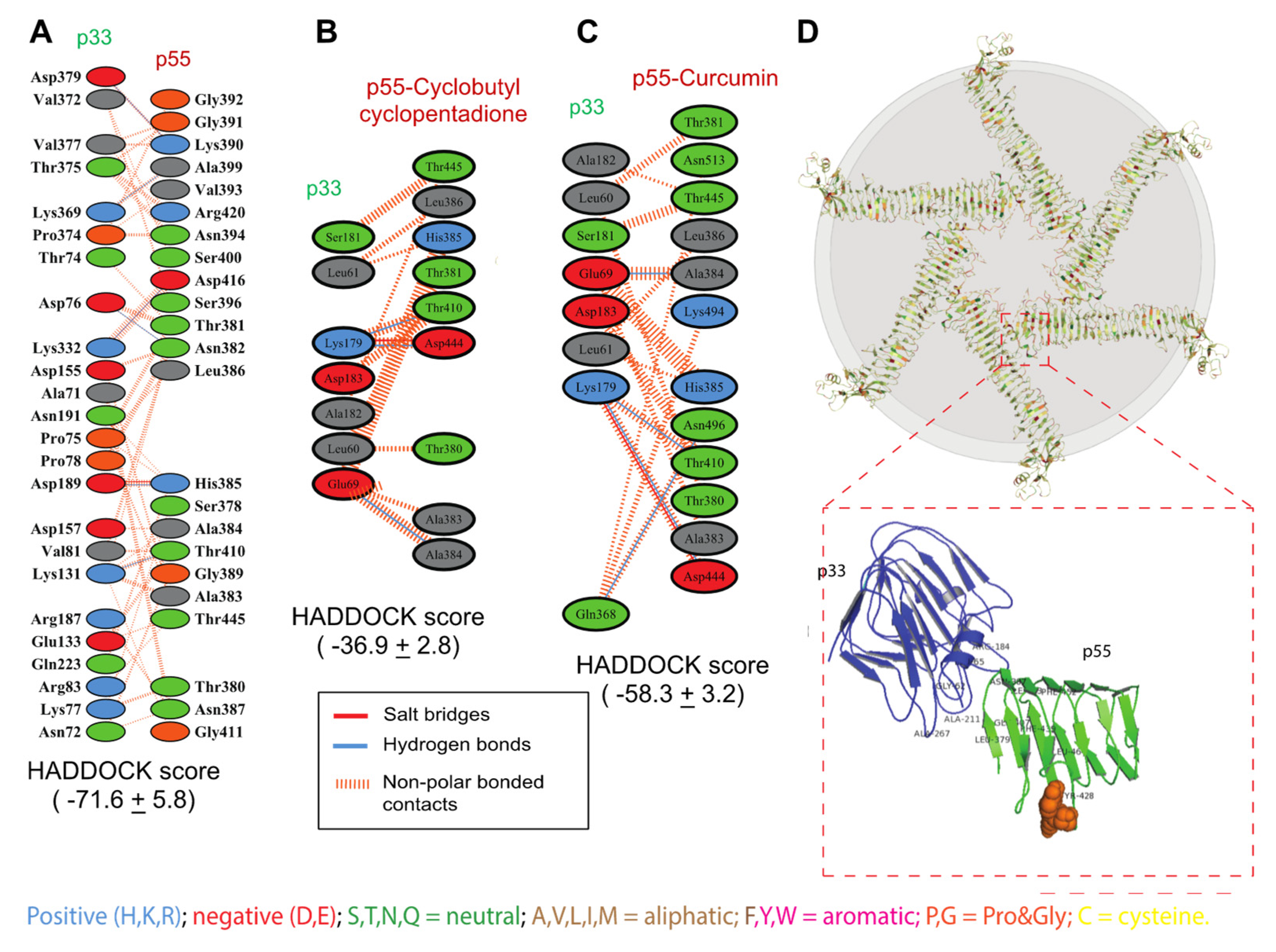 Molecules 27 06727 g005
