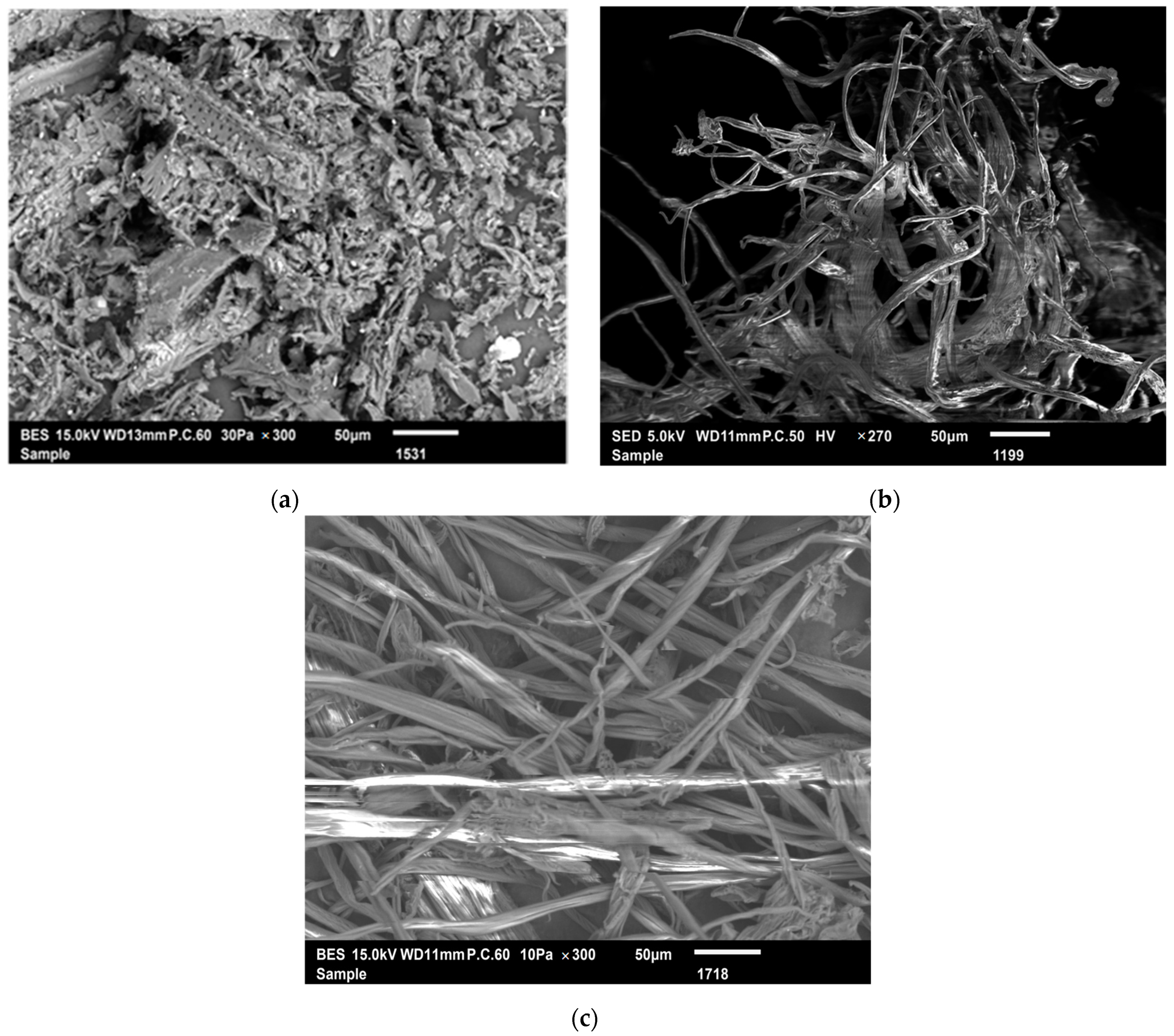 Molecules 27 06738 g002