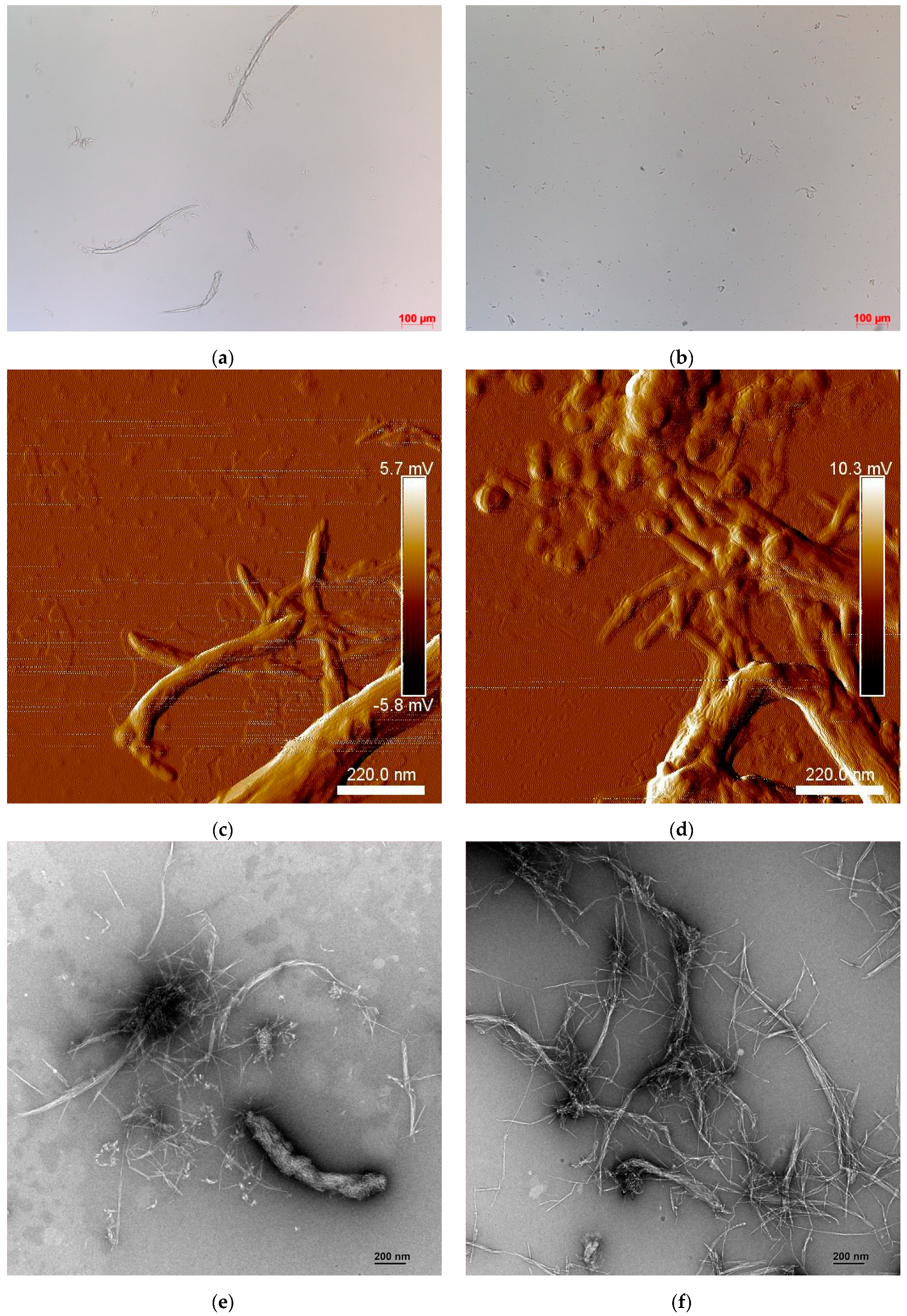 Molecules 27 06738 g003