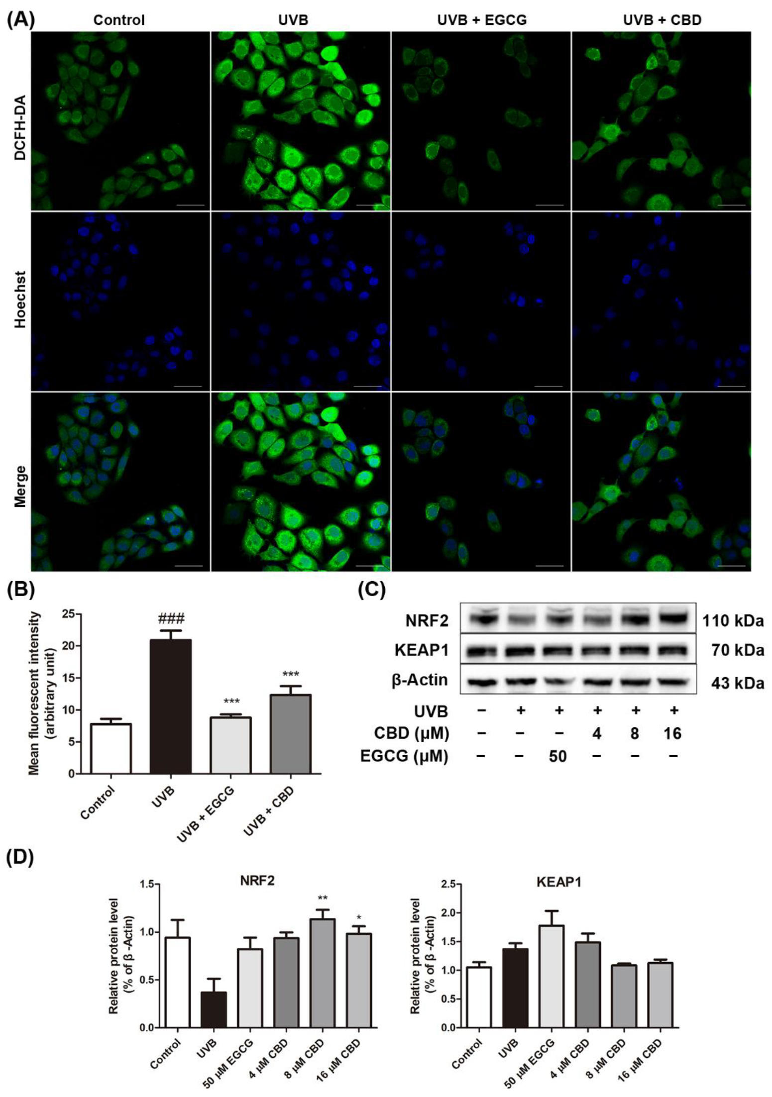 Molecules 27 06740 g003
