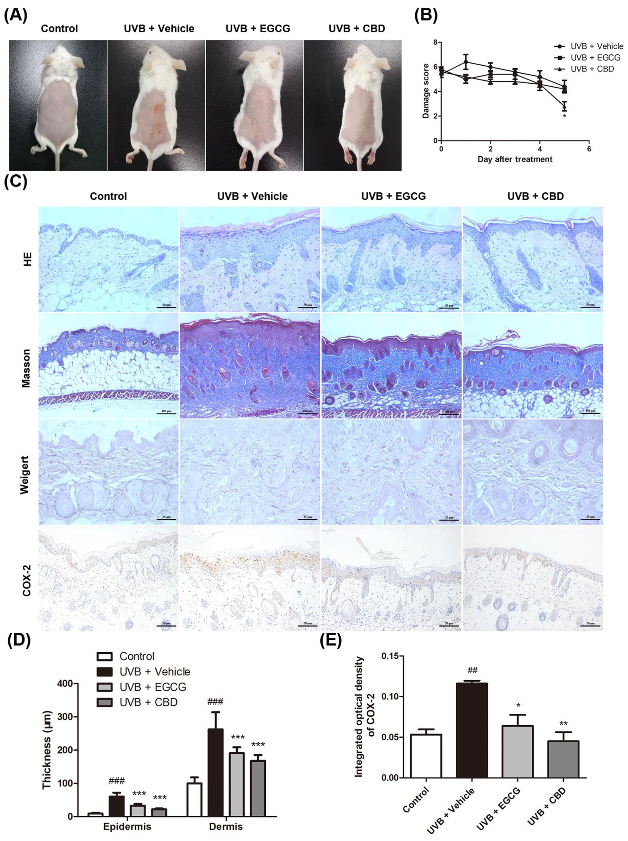 Molecules 27 06740 g005