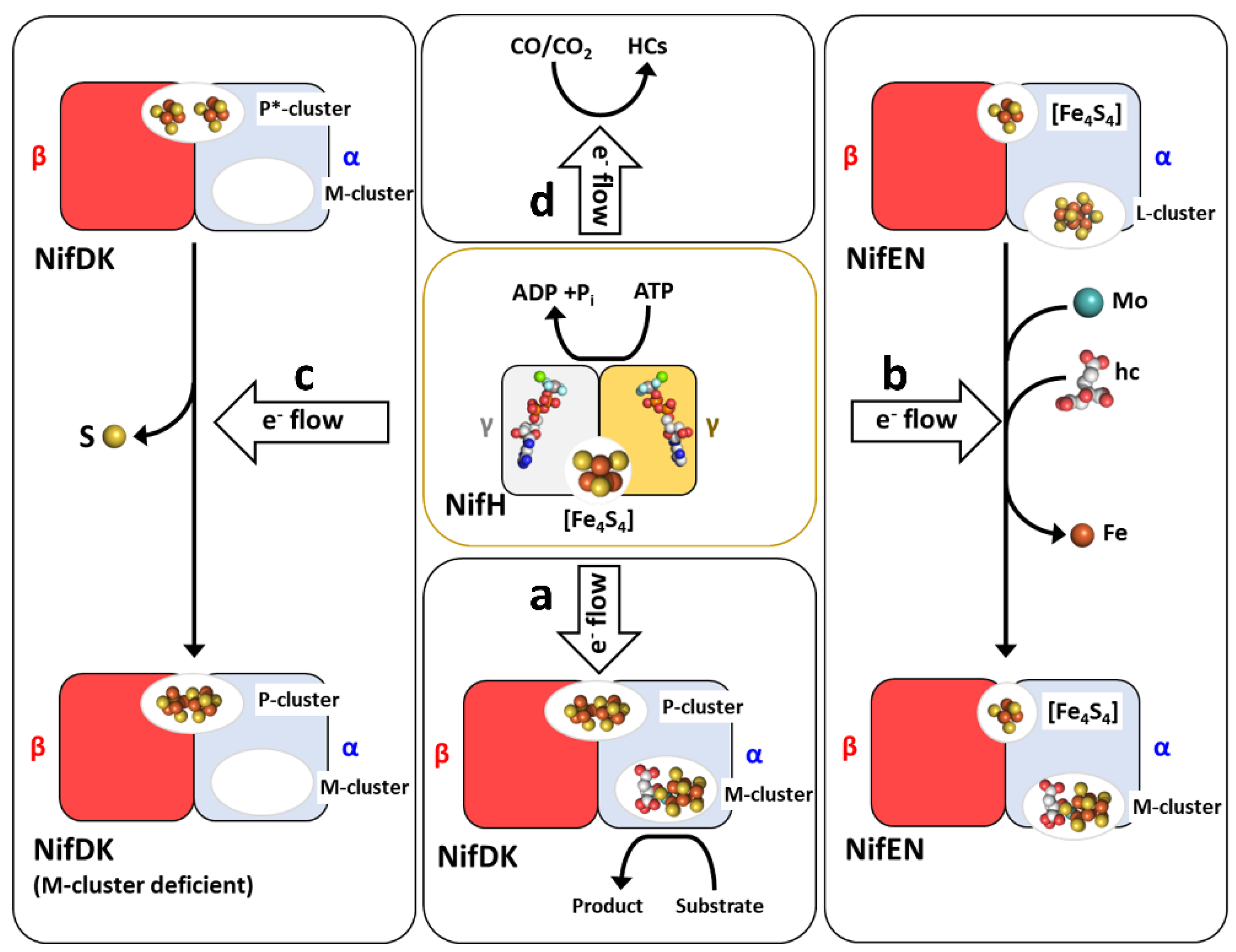 Molecules 27 06743 g002