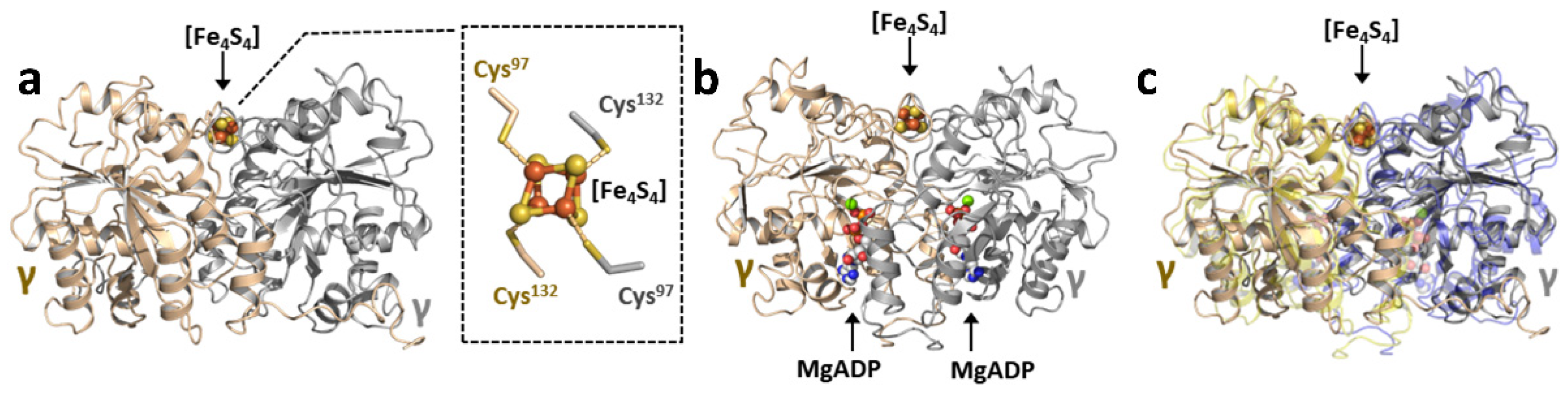 Molecules 27 06743 g003