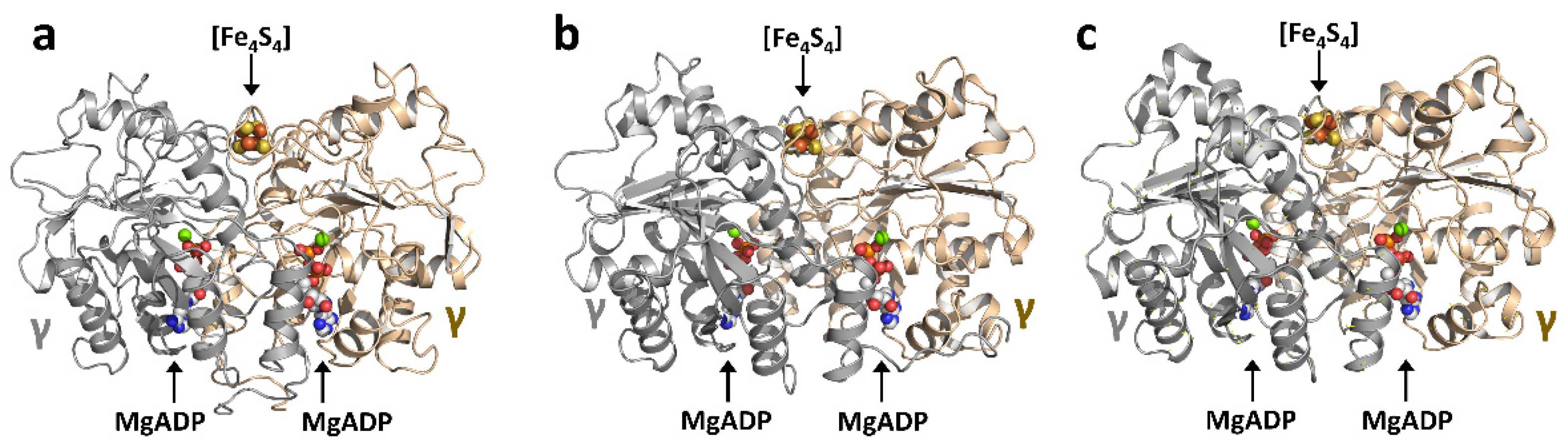 Molecules 27 06743 g006