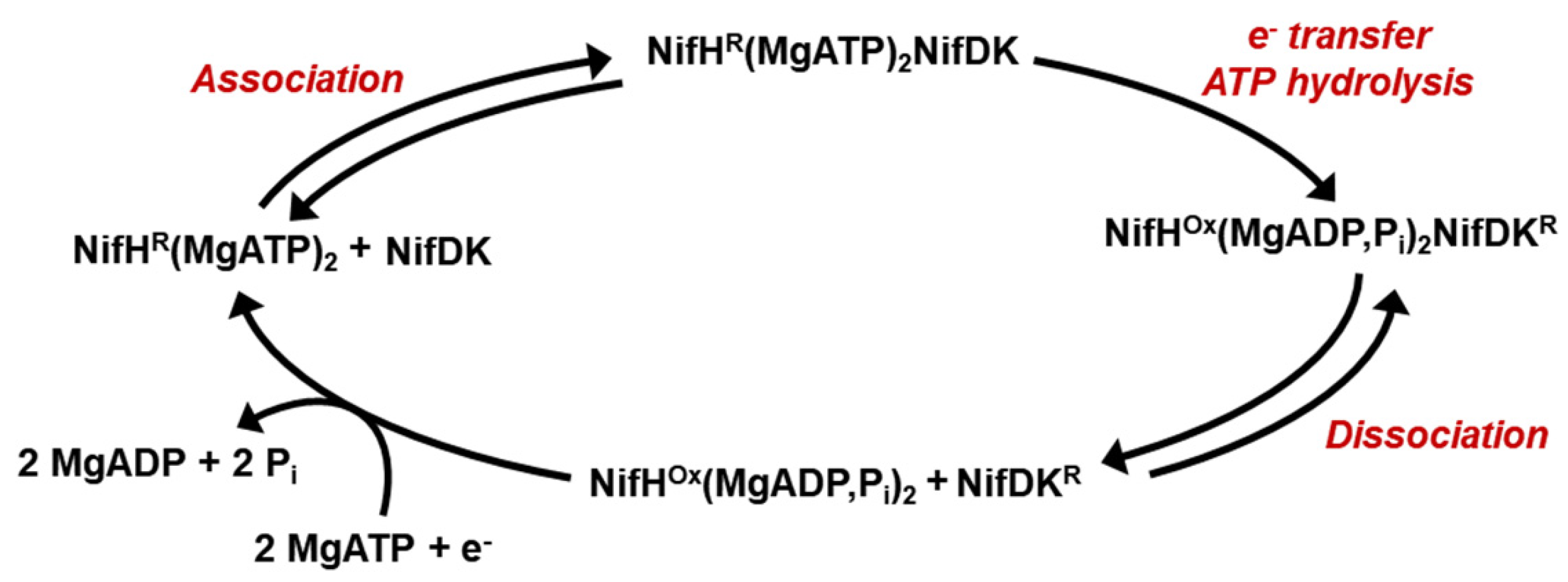 Molecules 27 06743 g007