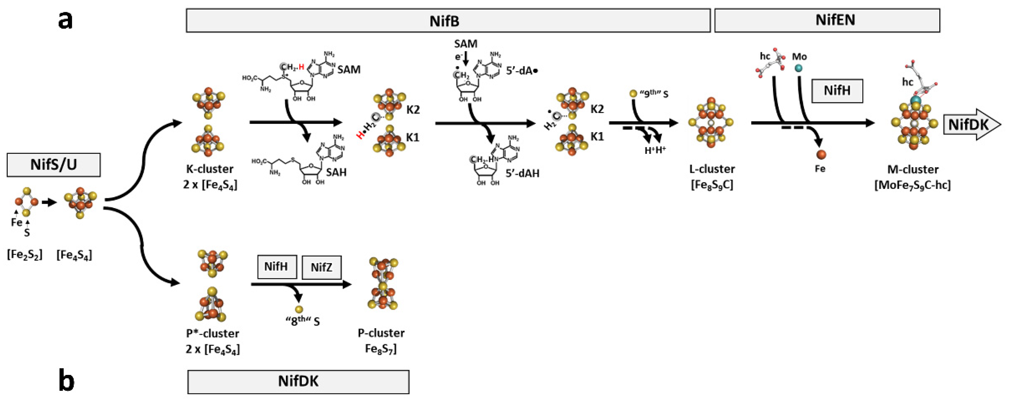 Molecules 27 06743 g009