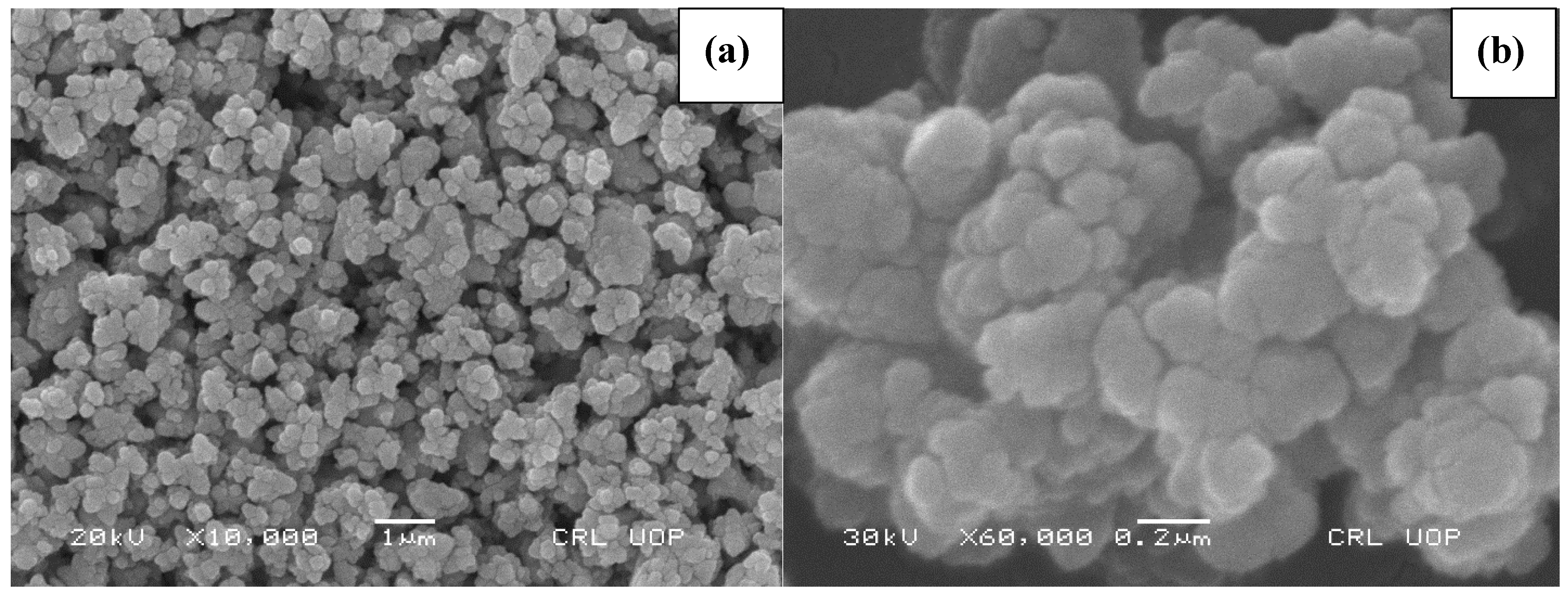 Molecules 27 06750 g003