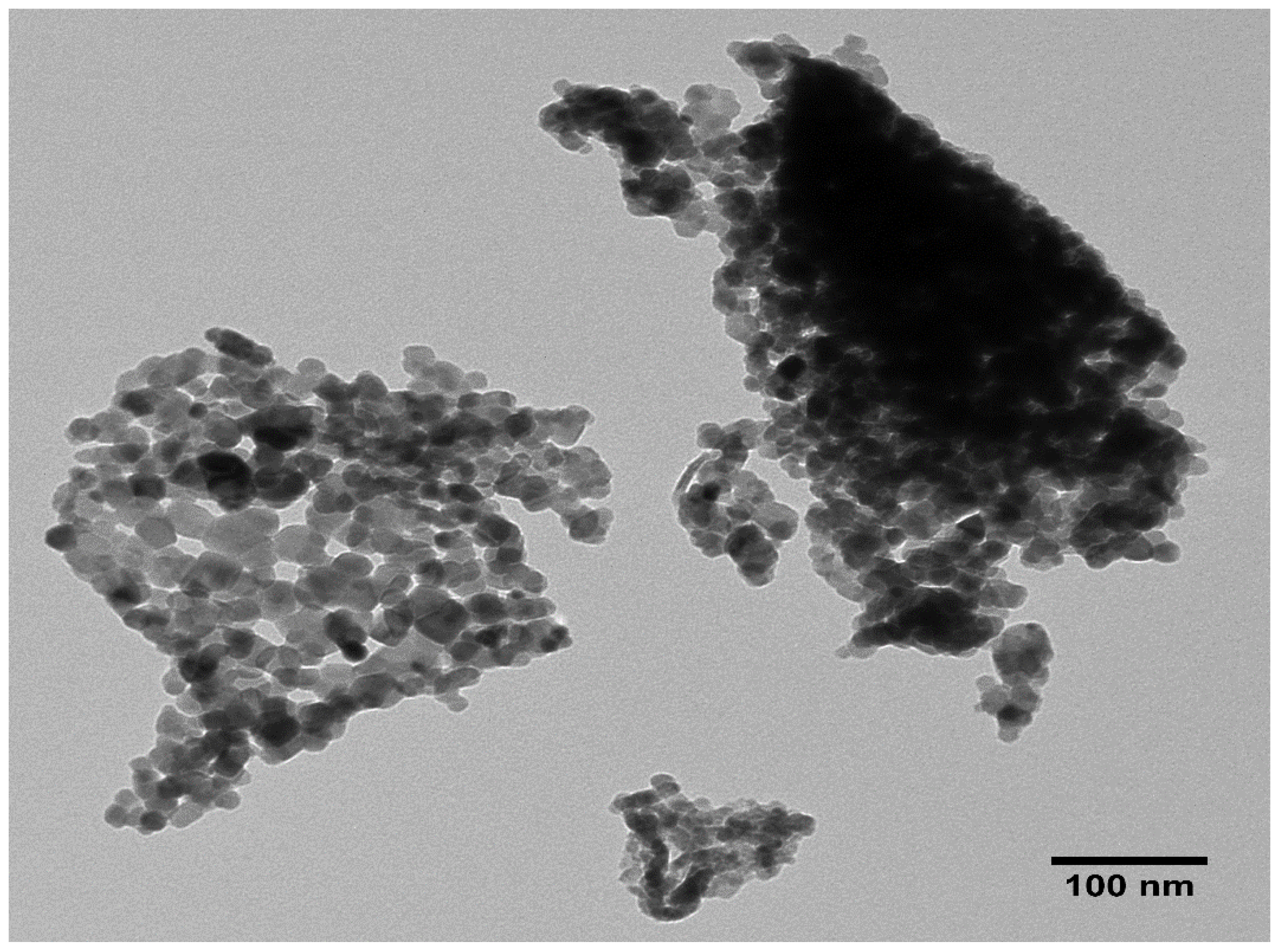 Molecules 27 06750 g004