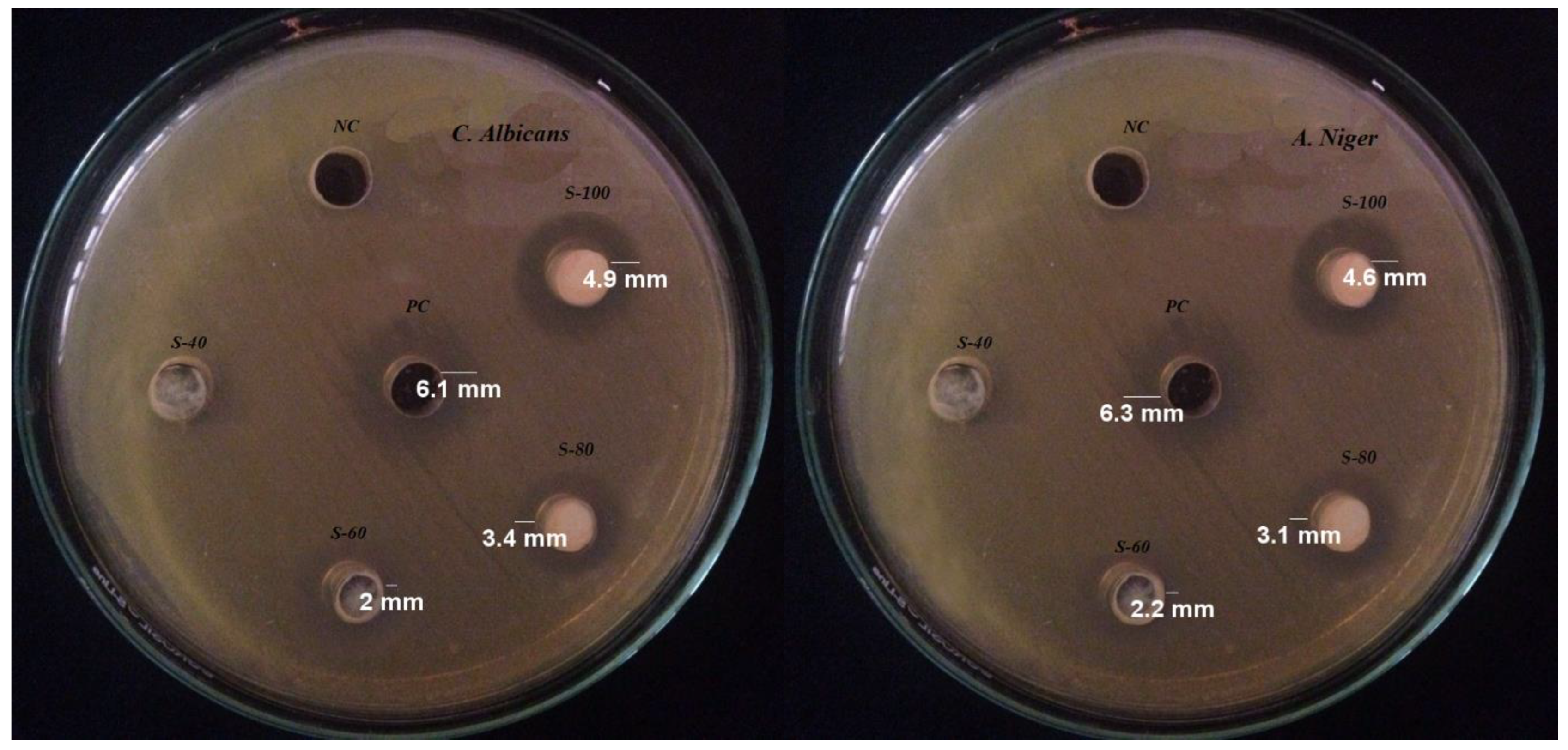 Molecules 27 06750 g008