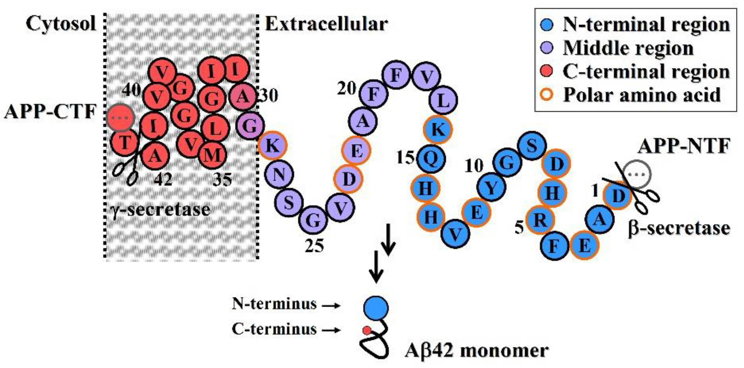 Molecules 27 06751 g001 Molecules 27 06751 g001