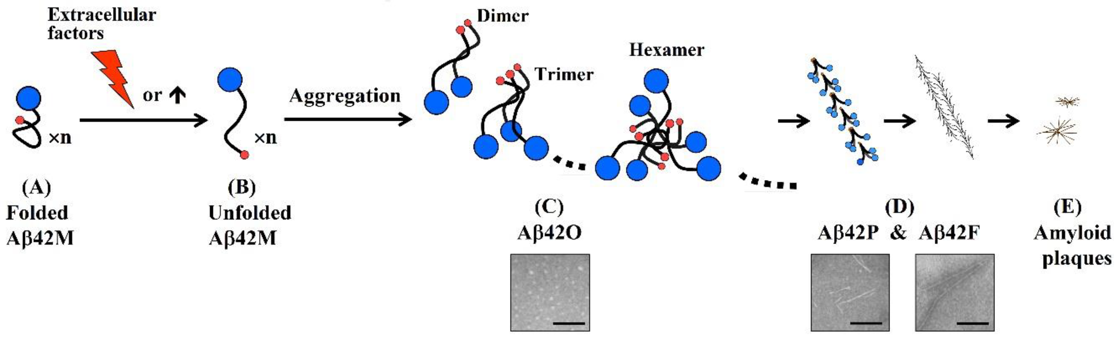 Molecules 27 06751 g002 Molecules 27 06751 g002