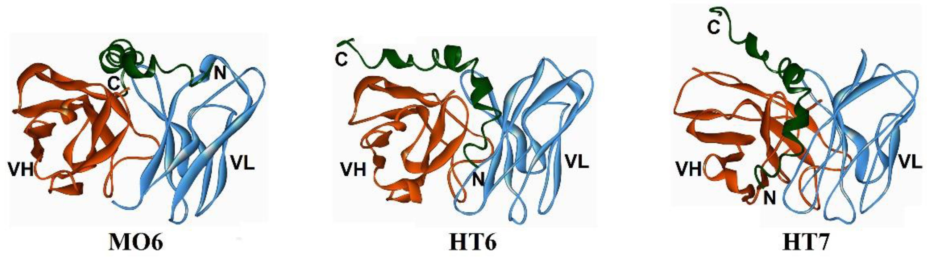 Molecules 27 06751 g004 Molecules 27 06751 g004