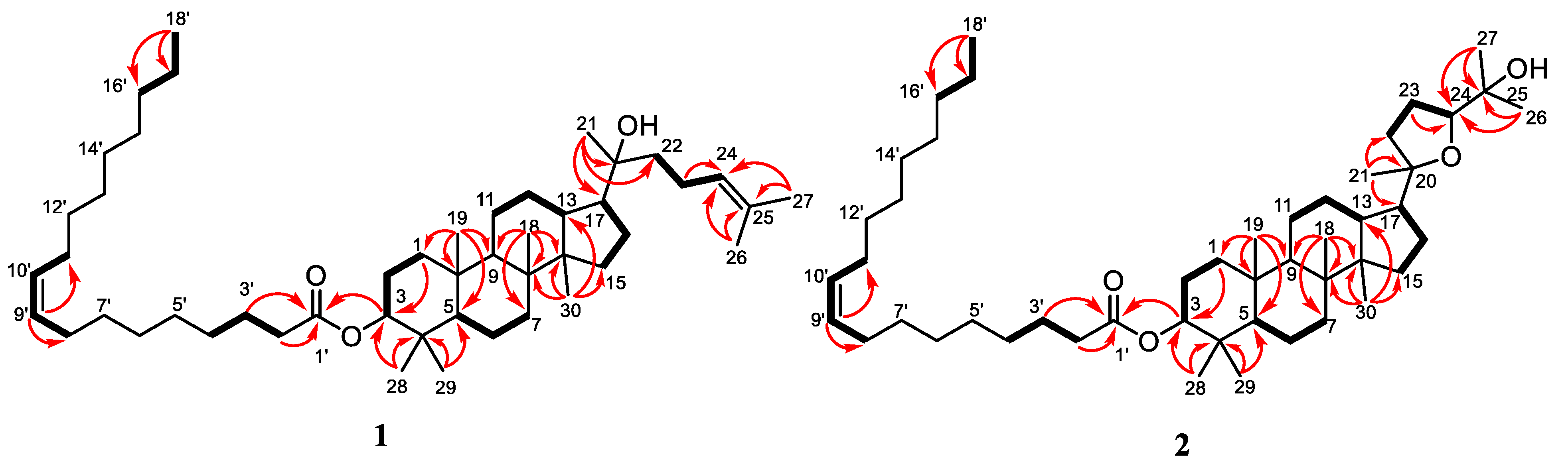Molecules 27 06757 g002