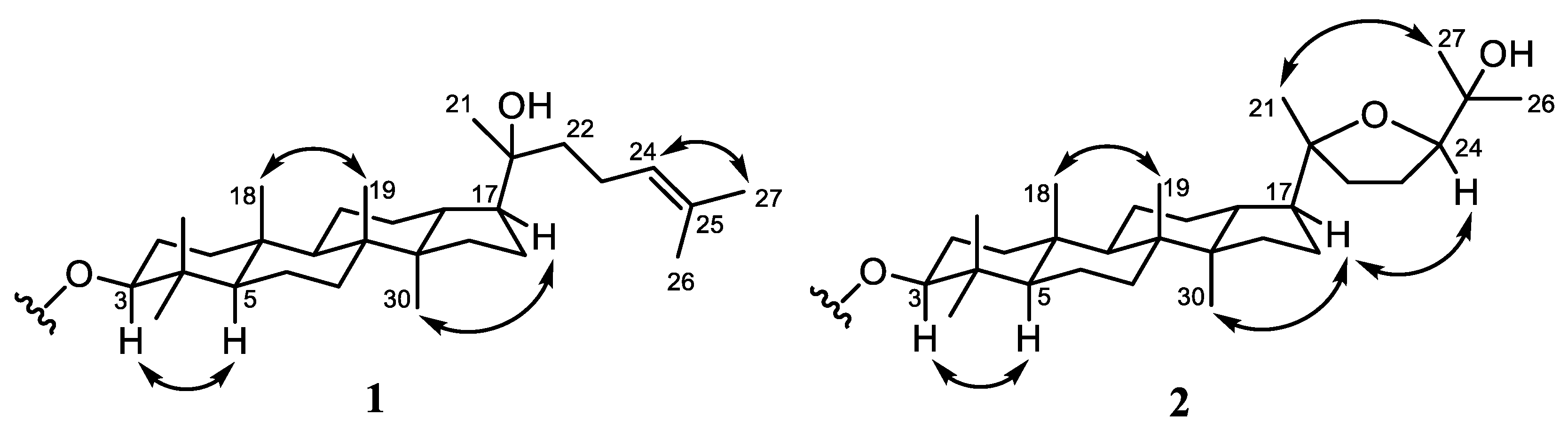 Molecules 27 06757 g003