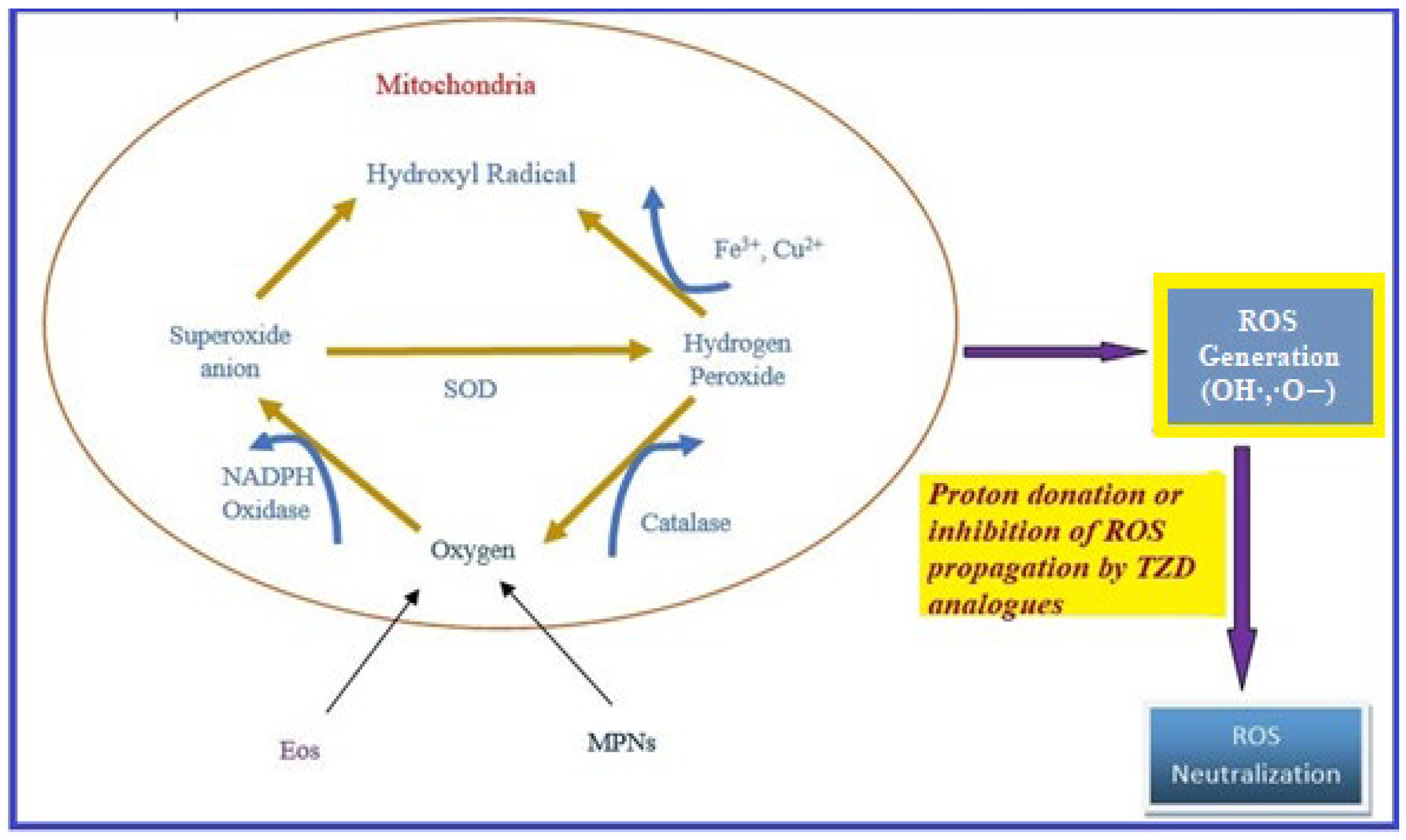 Molecules 27 06763 g008