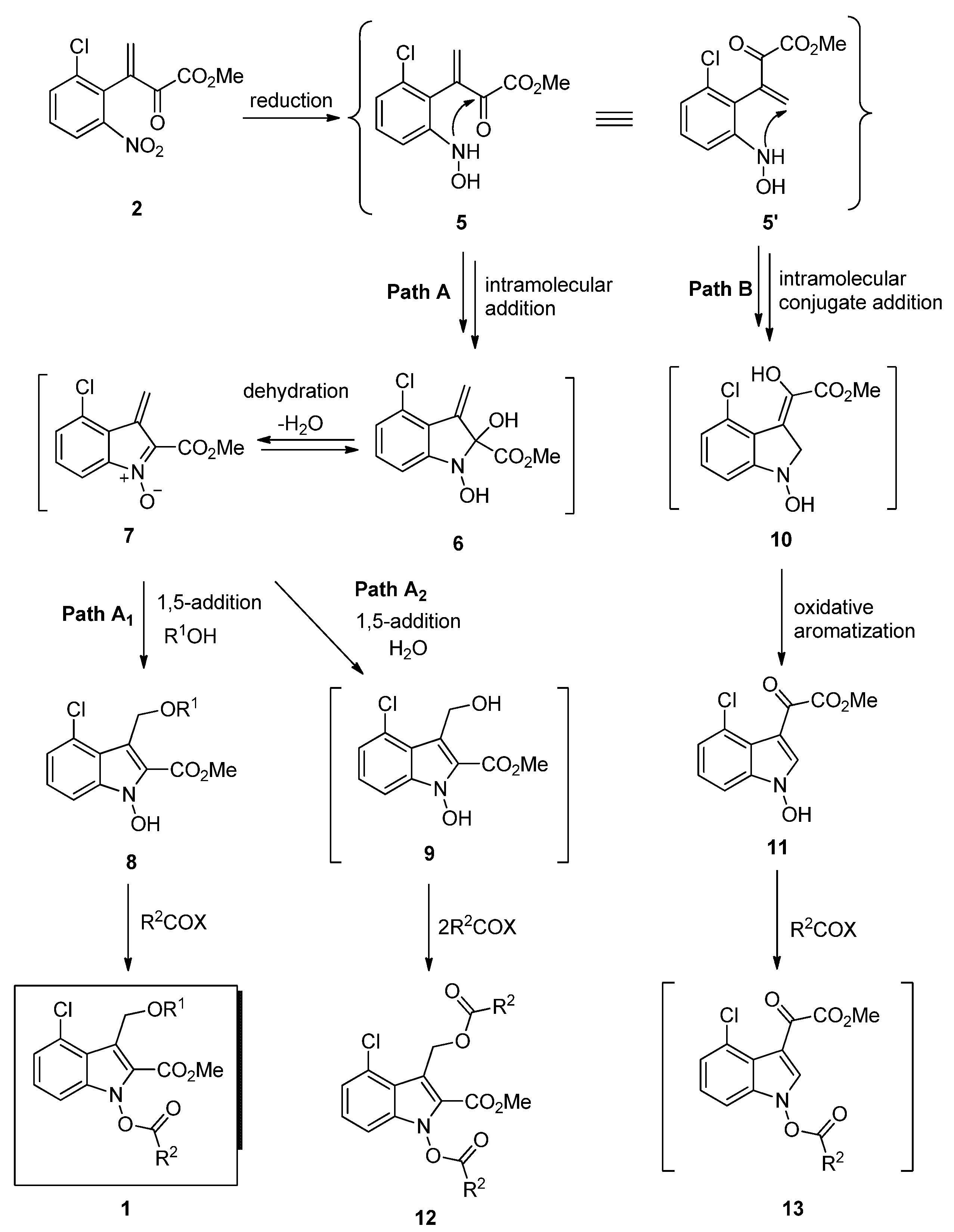 Molecules 27 06769 sch005 Molecules 27 06769 sch005