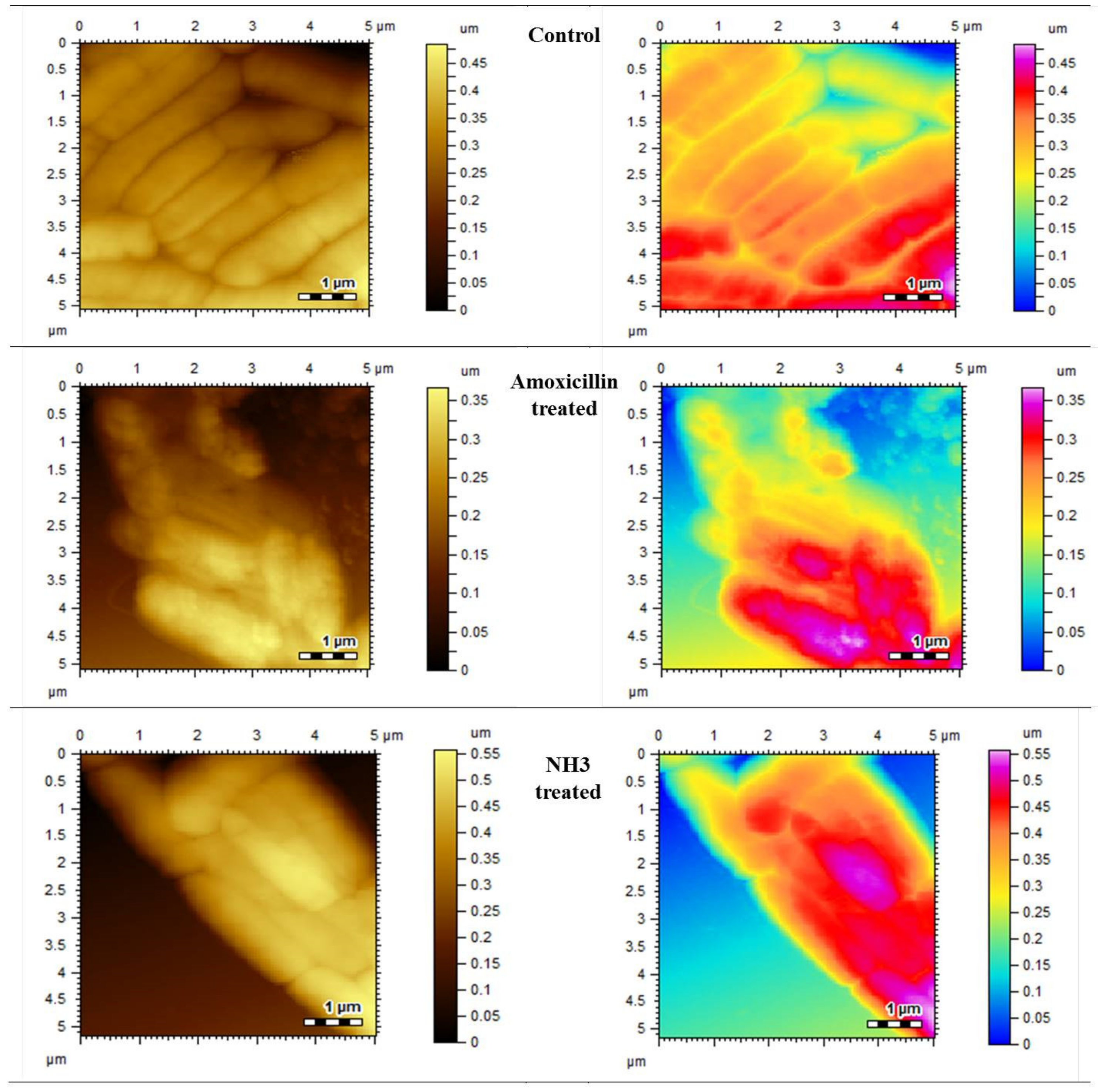 Molecules 27 06770 g005 Molecules 27 06770 g005