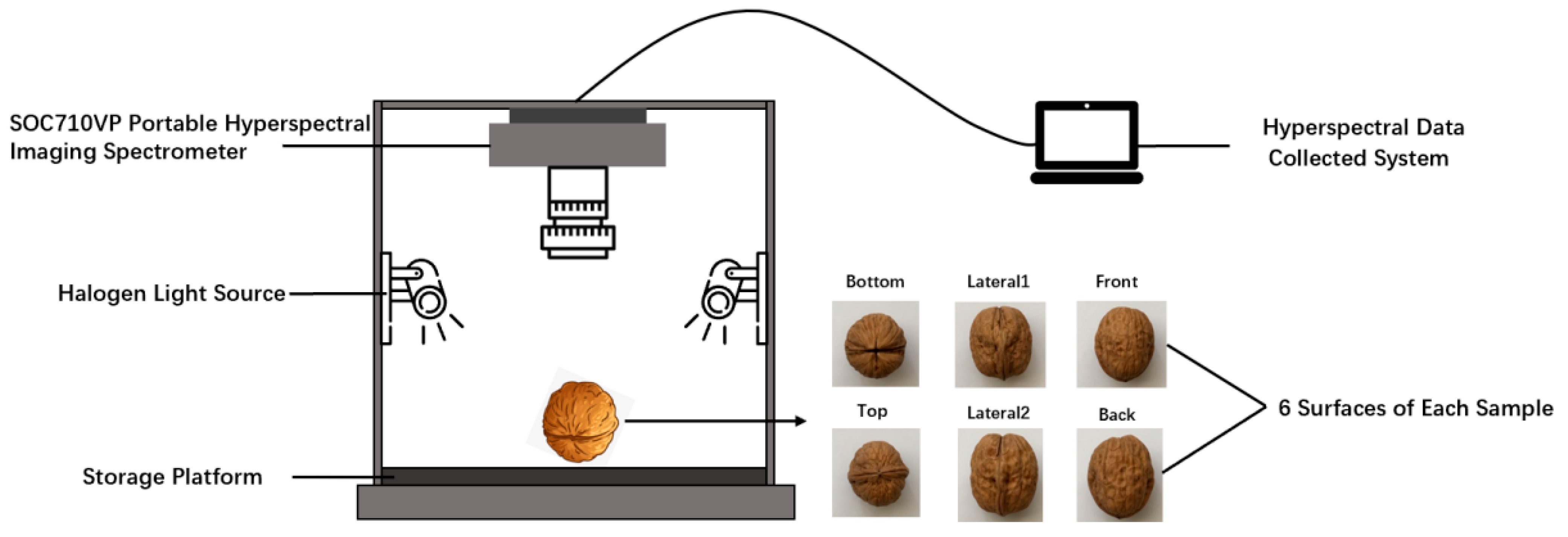 Molecules 27 06776 g006