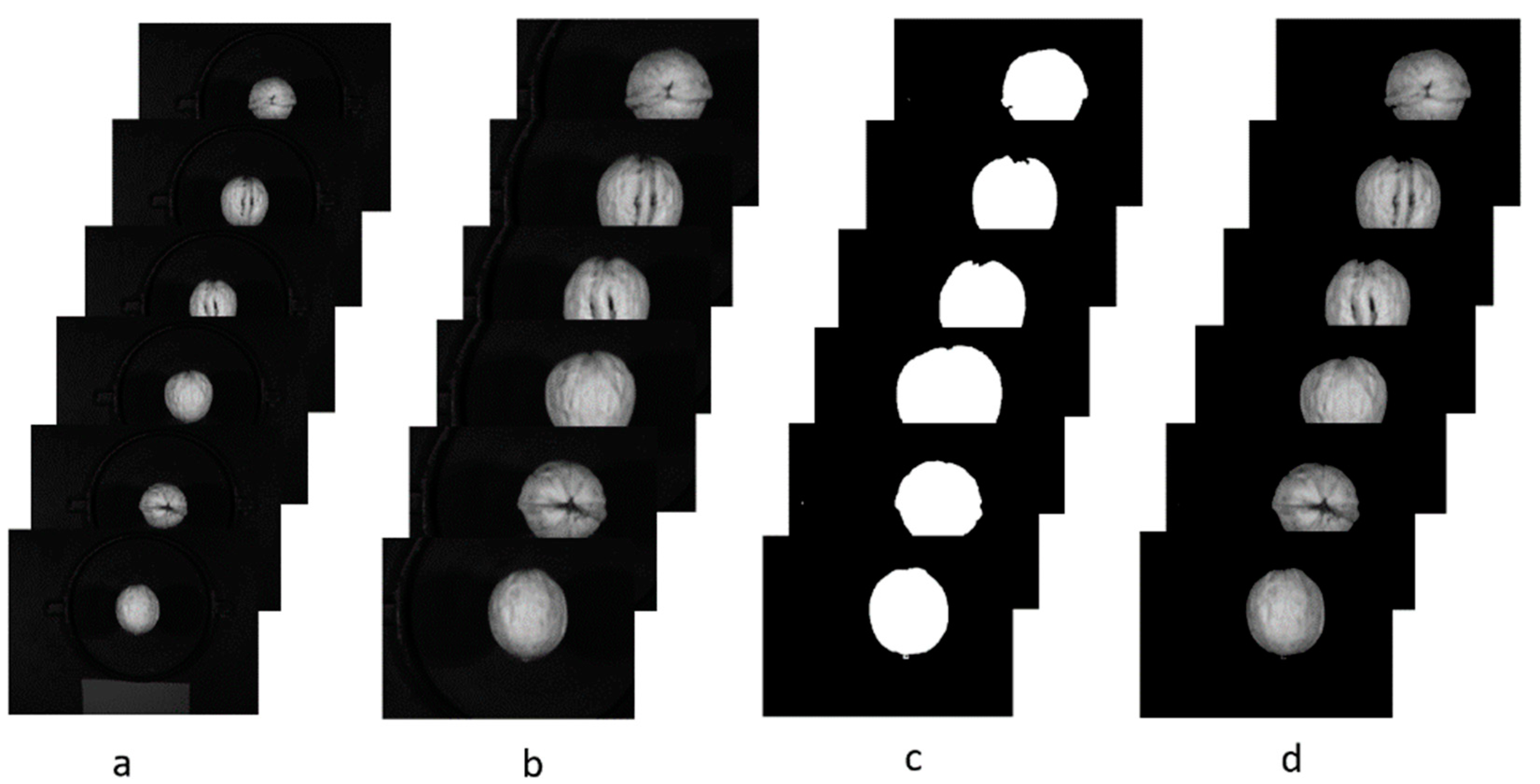 Molecules 27 06776 g008
