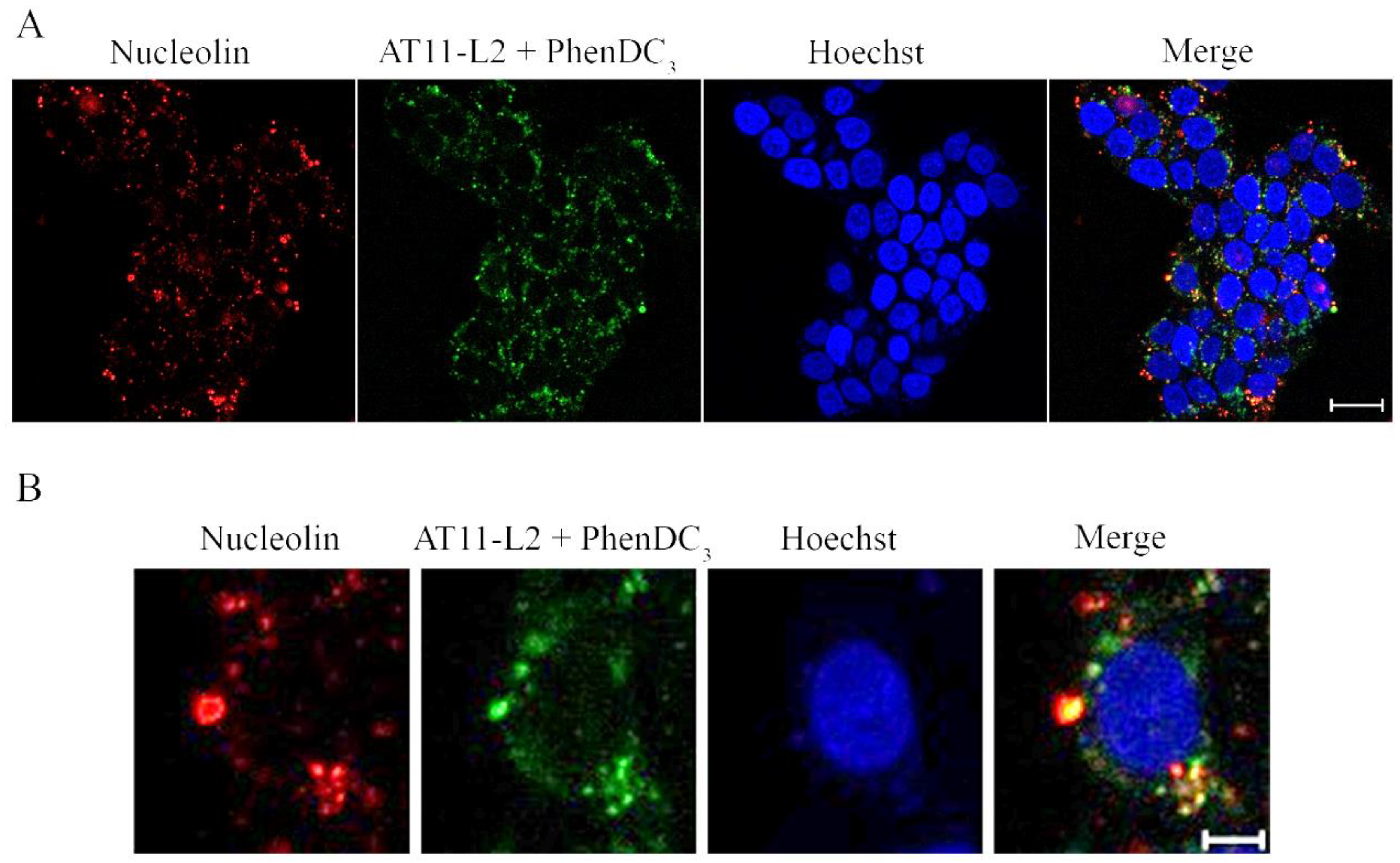 Molecules 27 06781 g010