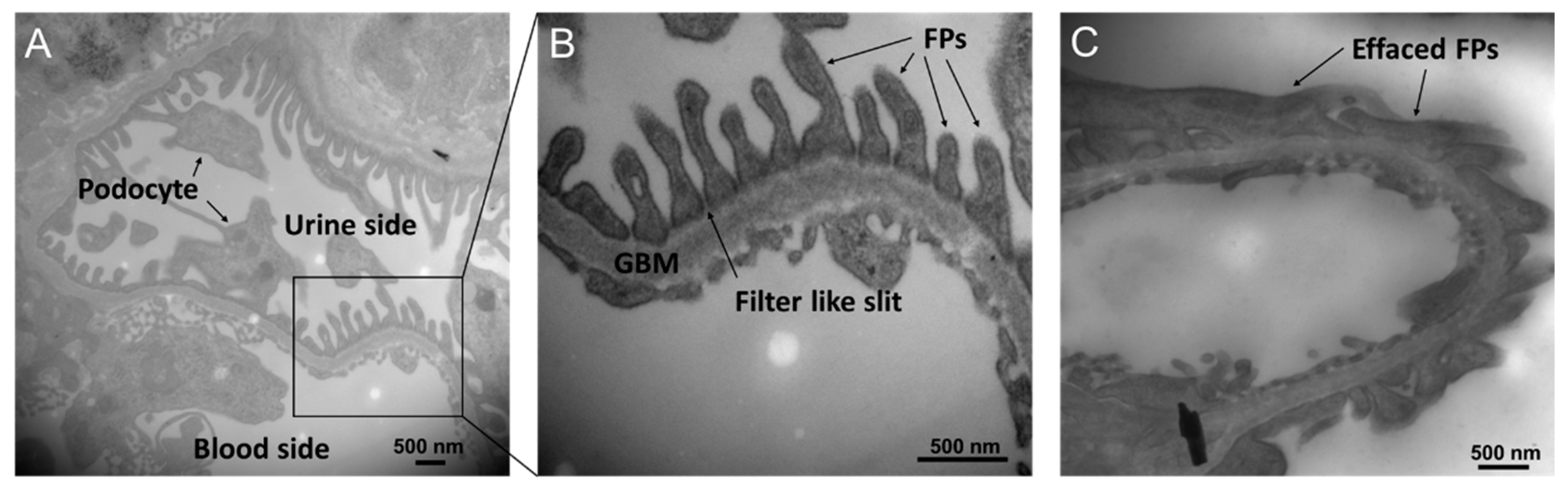 Molecules 27 06784 g002