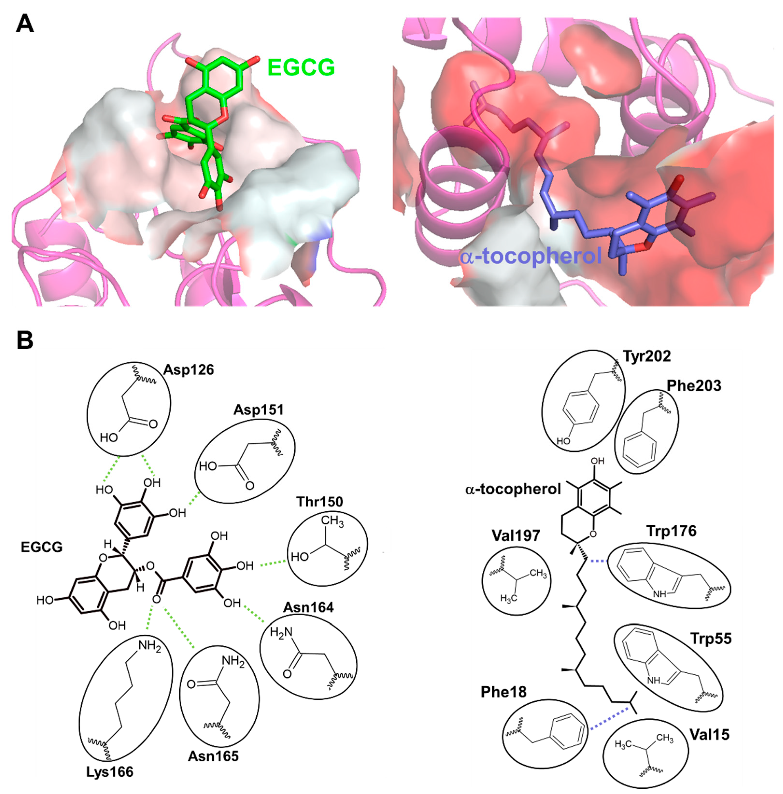 Molecules 27 06784 g004