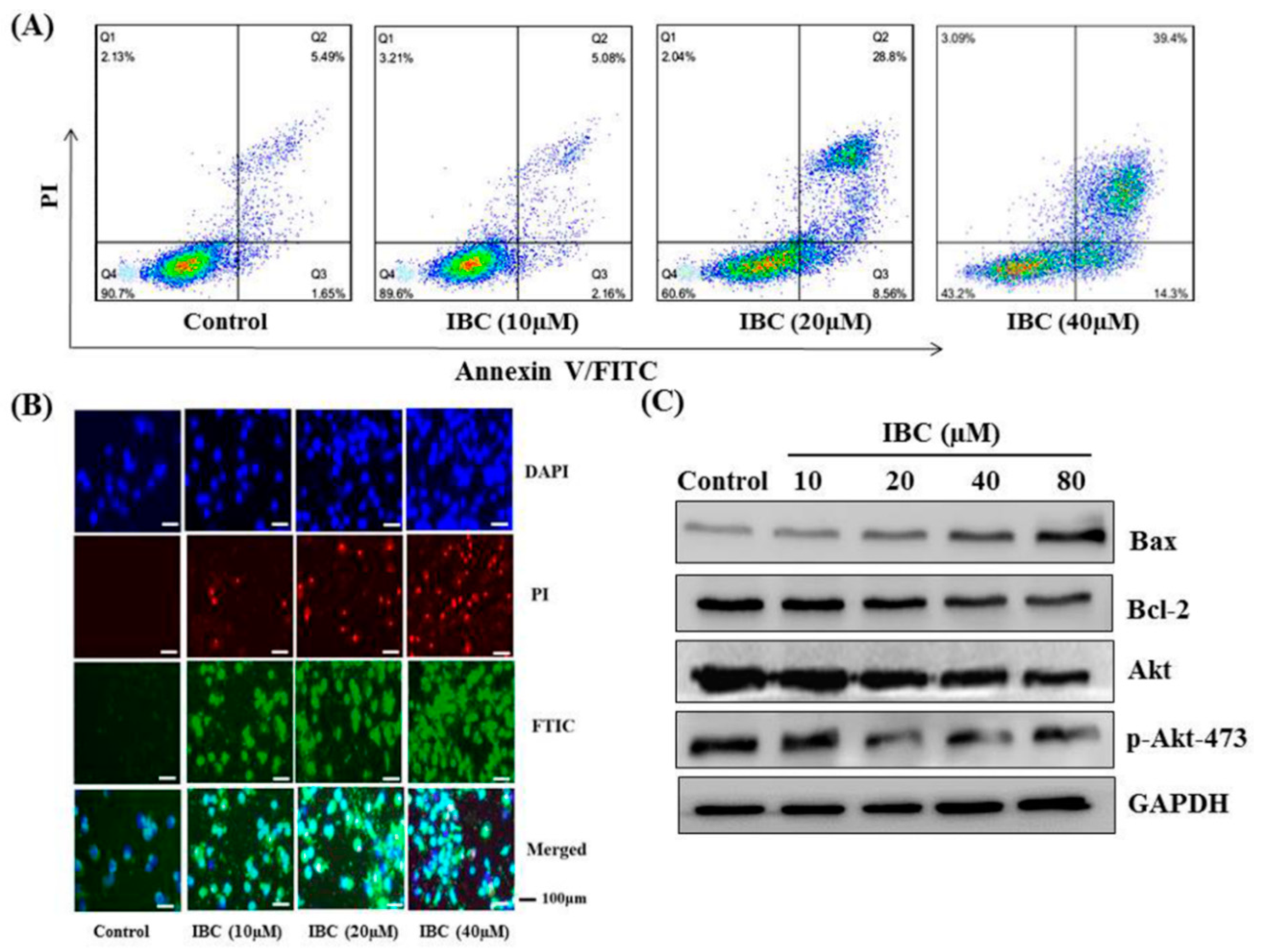 Molecules 27 06787 g003 Molecules 27 06787 g003