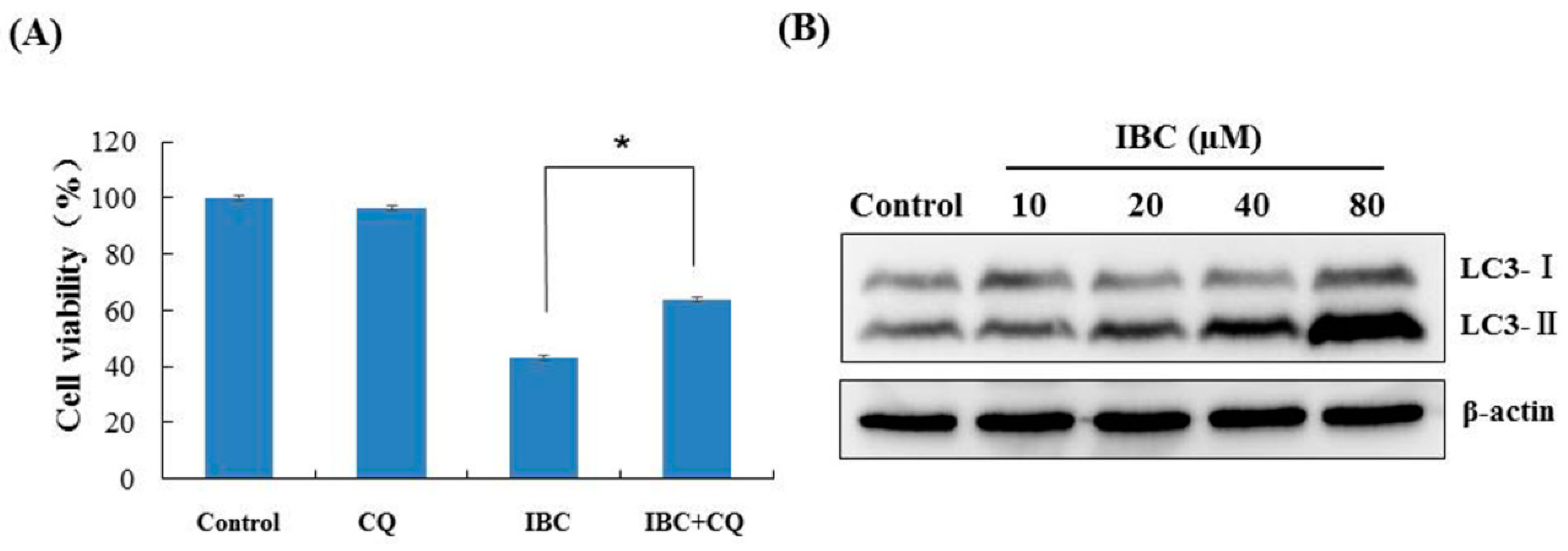 Molecules 27 06787 g008 Molecules 27 06787 g008
