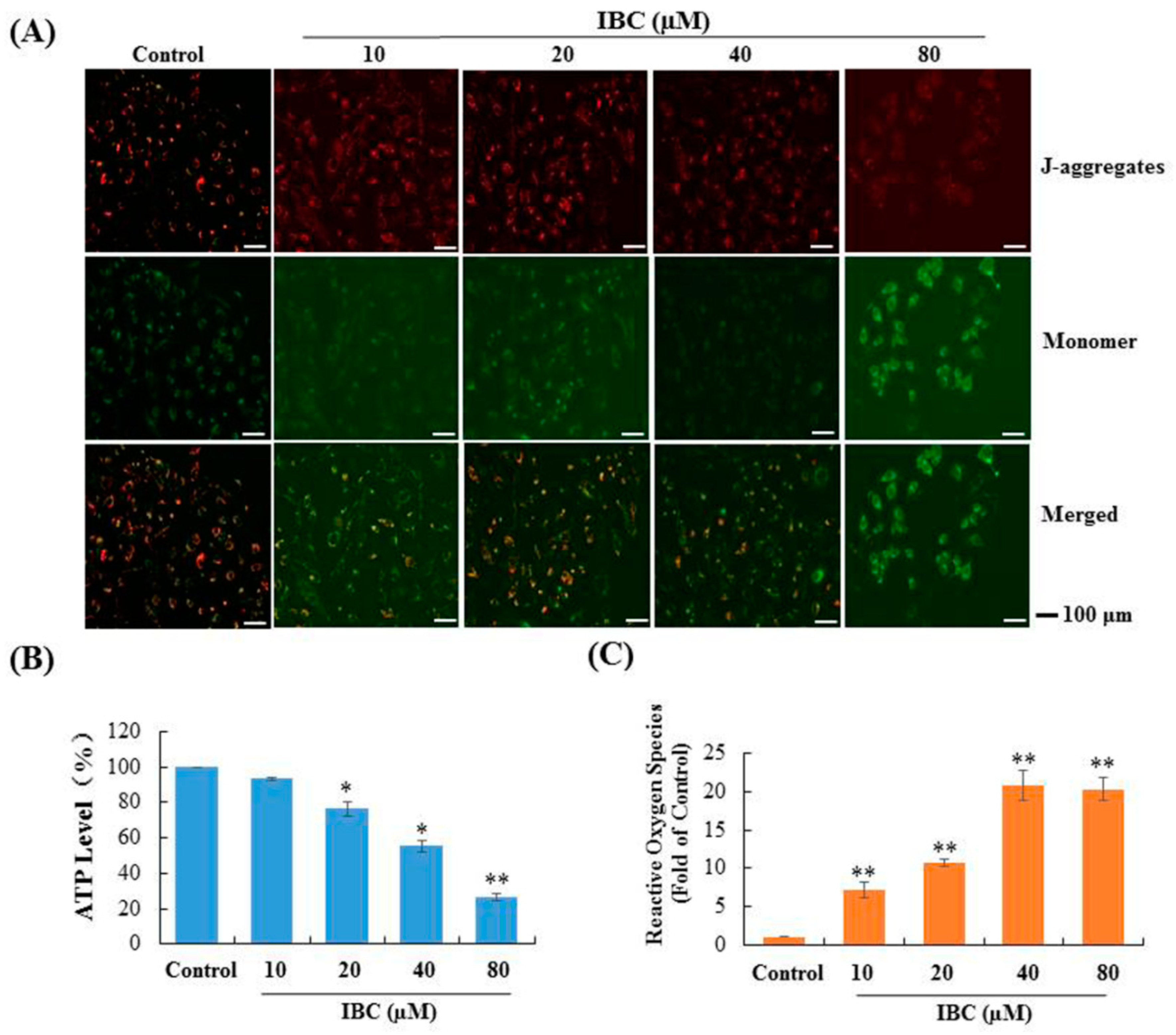 Molecules 27 06787 g009 Molecules 27 06787 g009