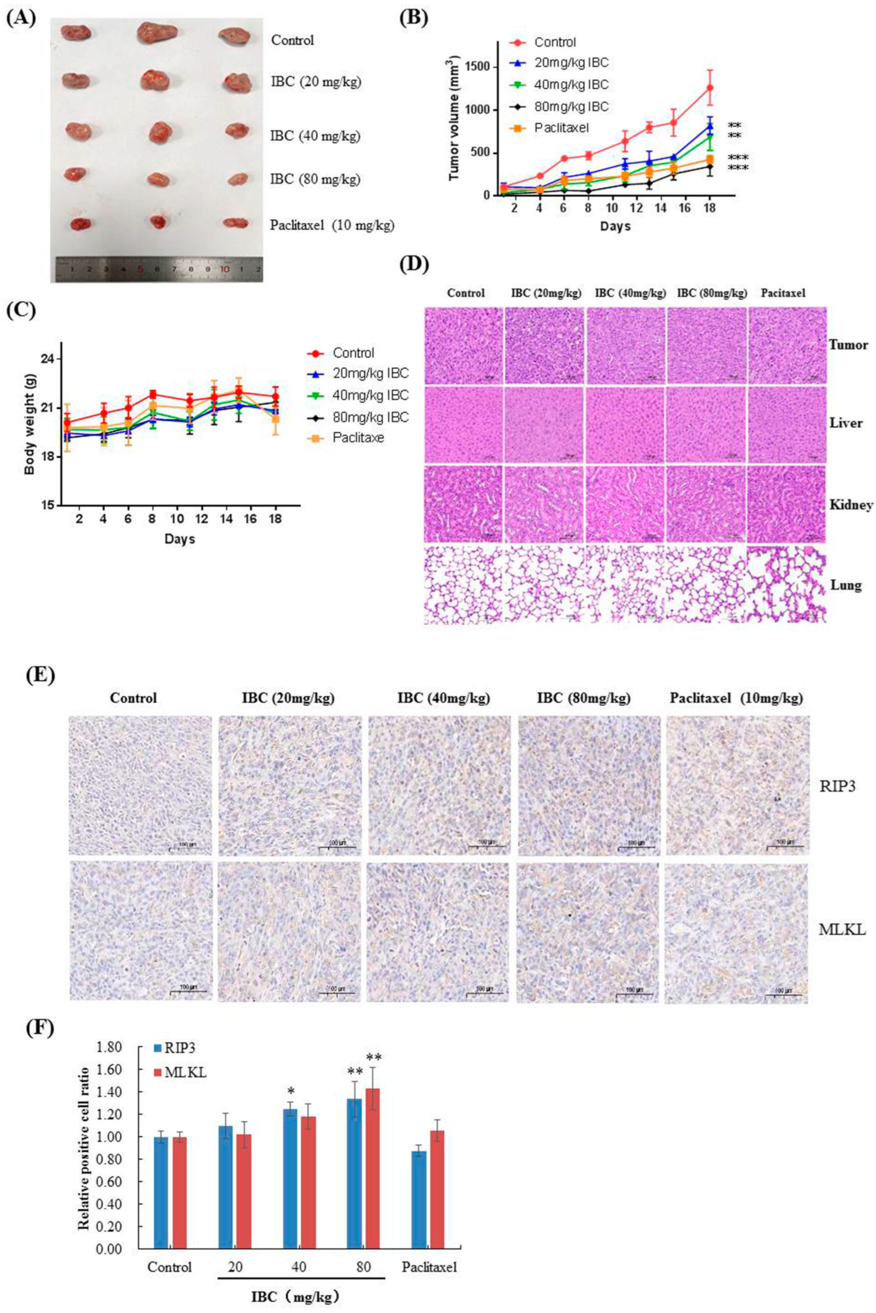 Molecules 27 06787 g010 Molecules 27 06787 g010